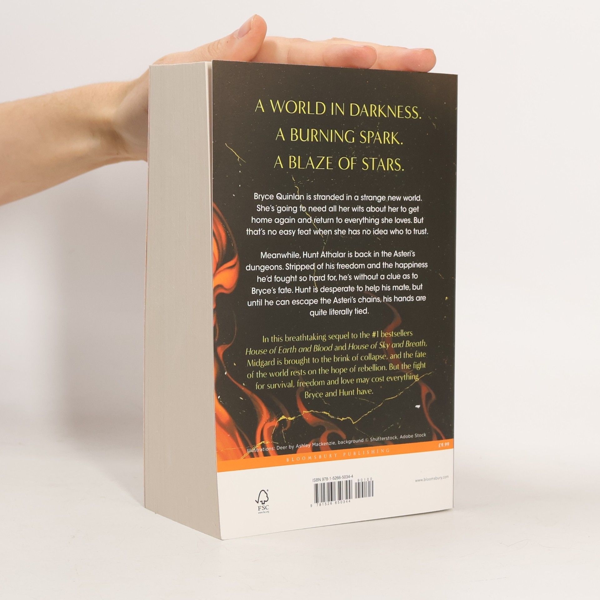 Sarah J. Maas Crescent City - 3: House of Flame and Shadow