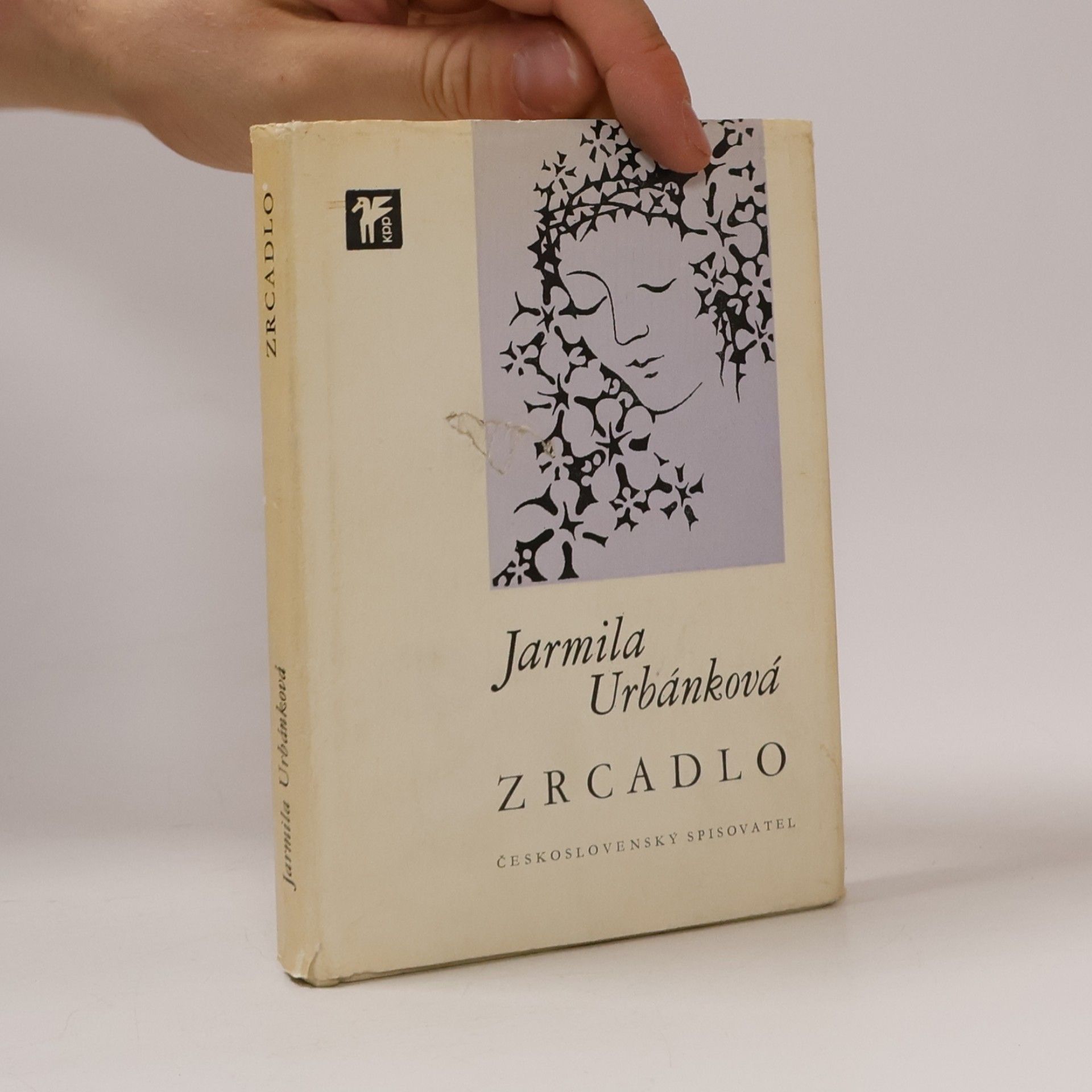 Zrcadlo