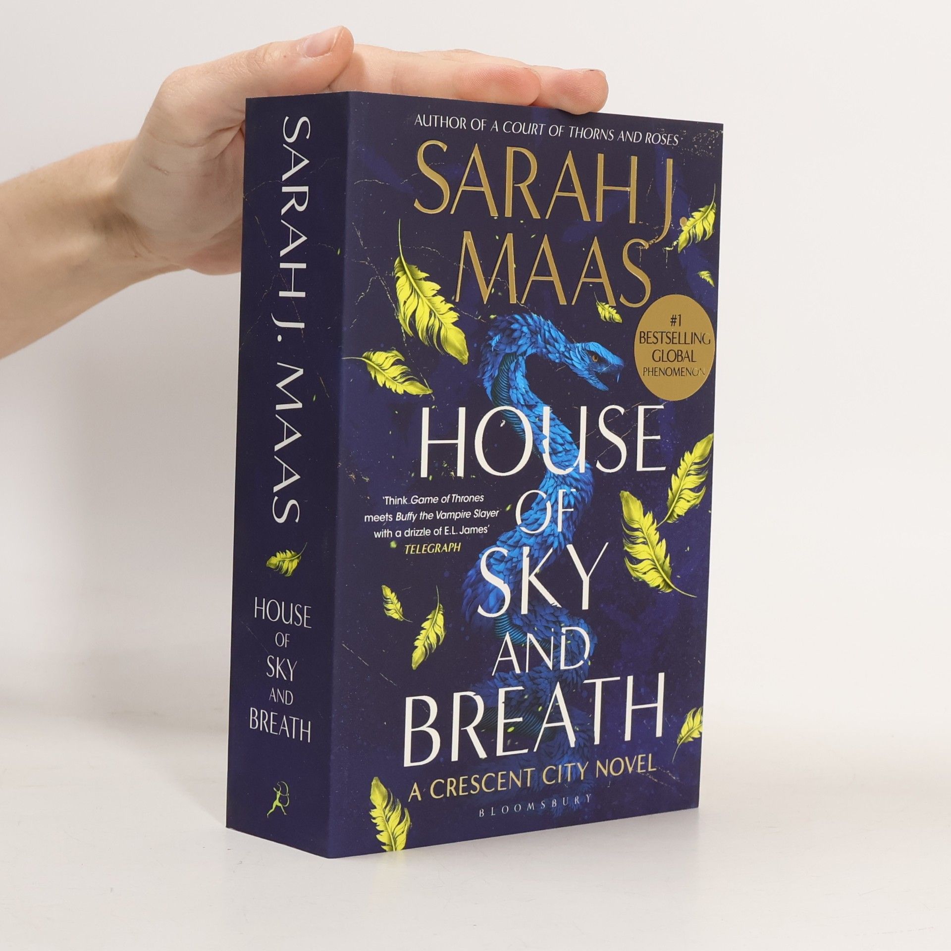 Sarah J. Maas House of Sky and Breath