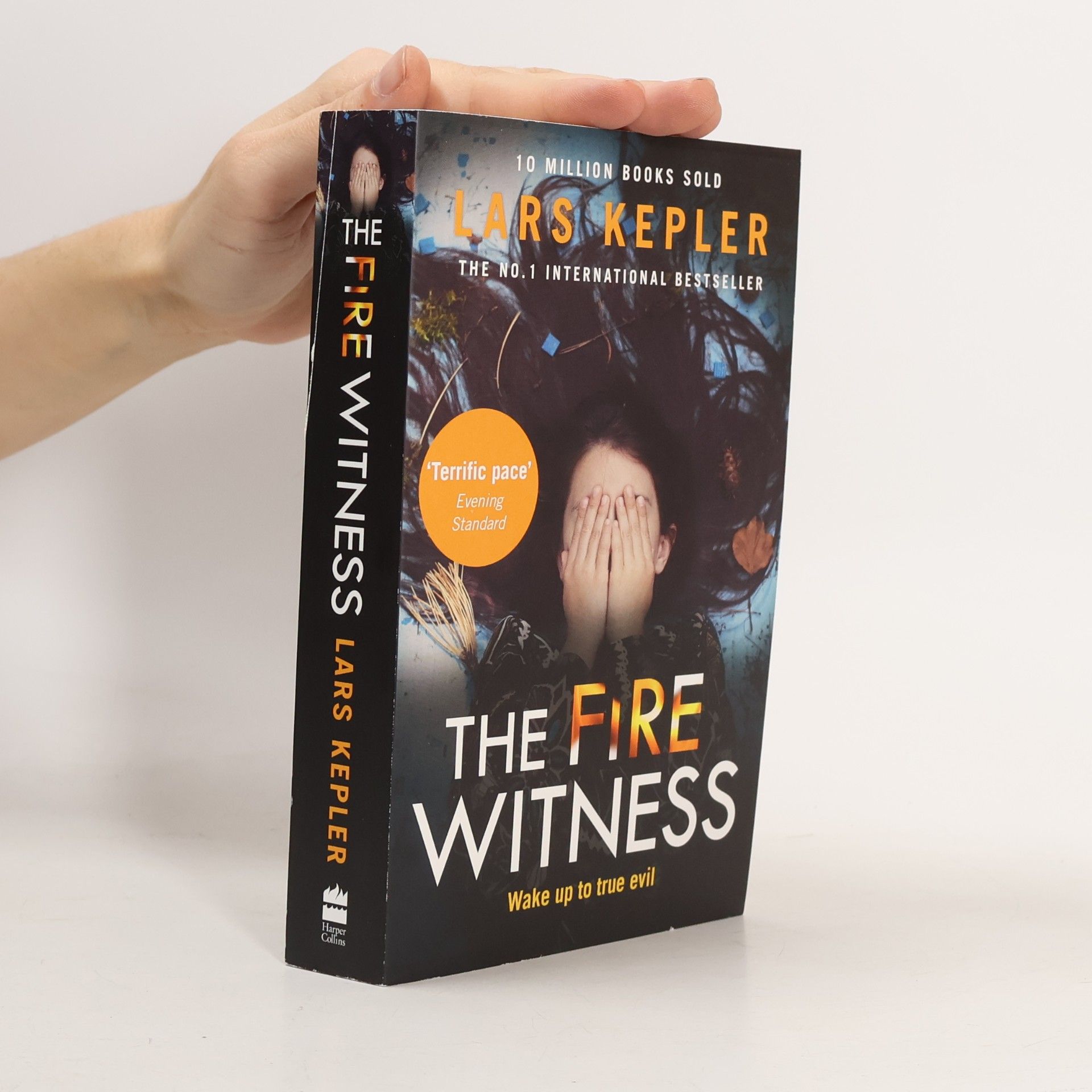 The Fire Witness