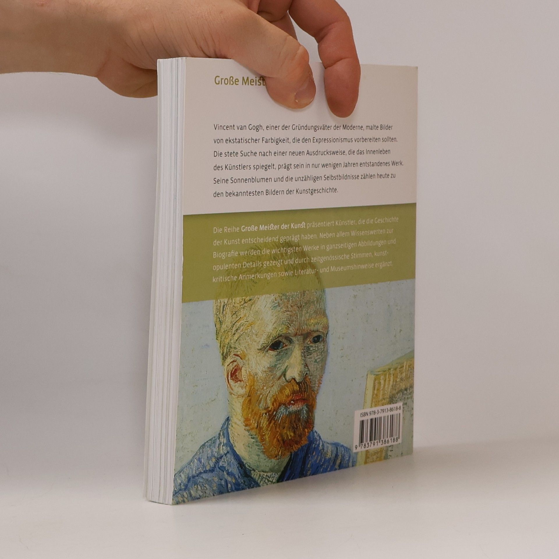 Alfredo Pallavisini Van Gogh
