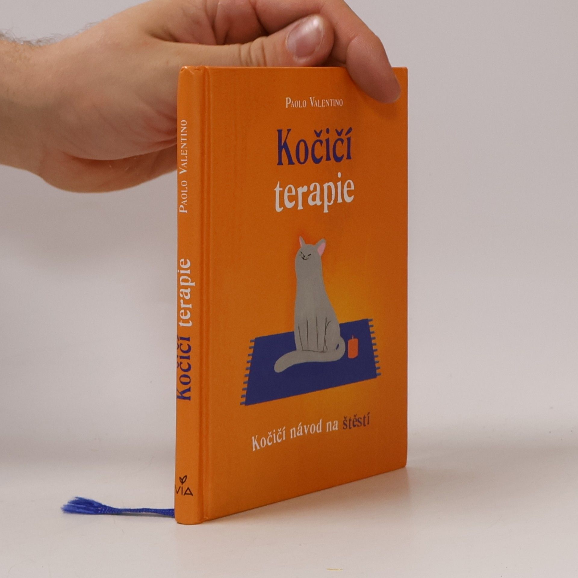 Kočičí terapie. Kočičí návod na štěstí