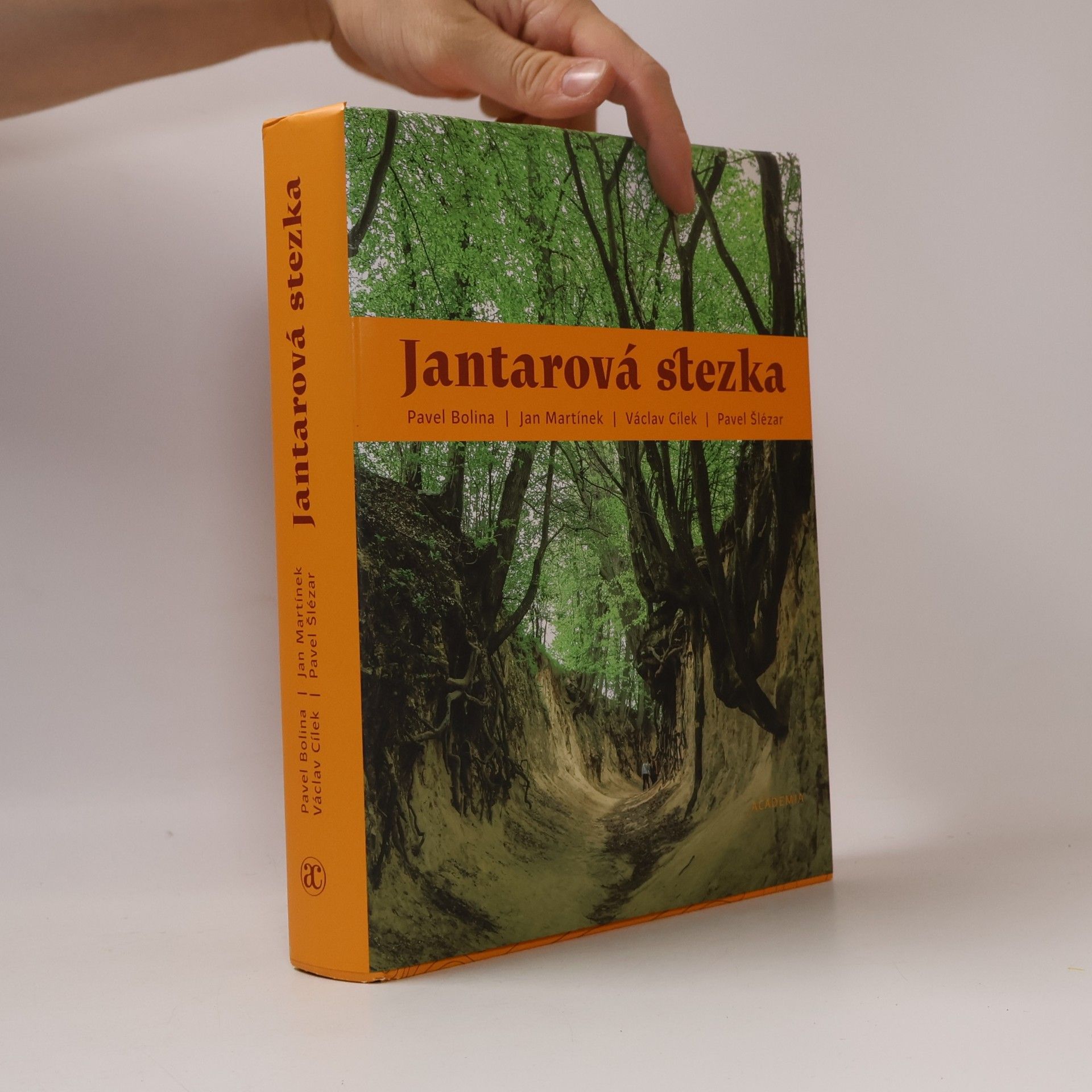 Jantarová stezka
