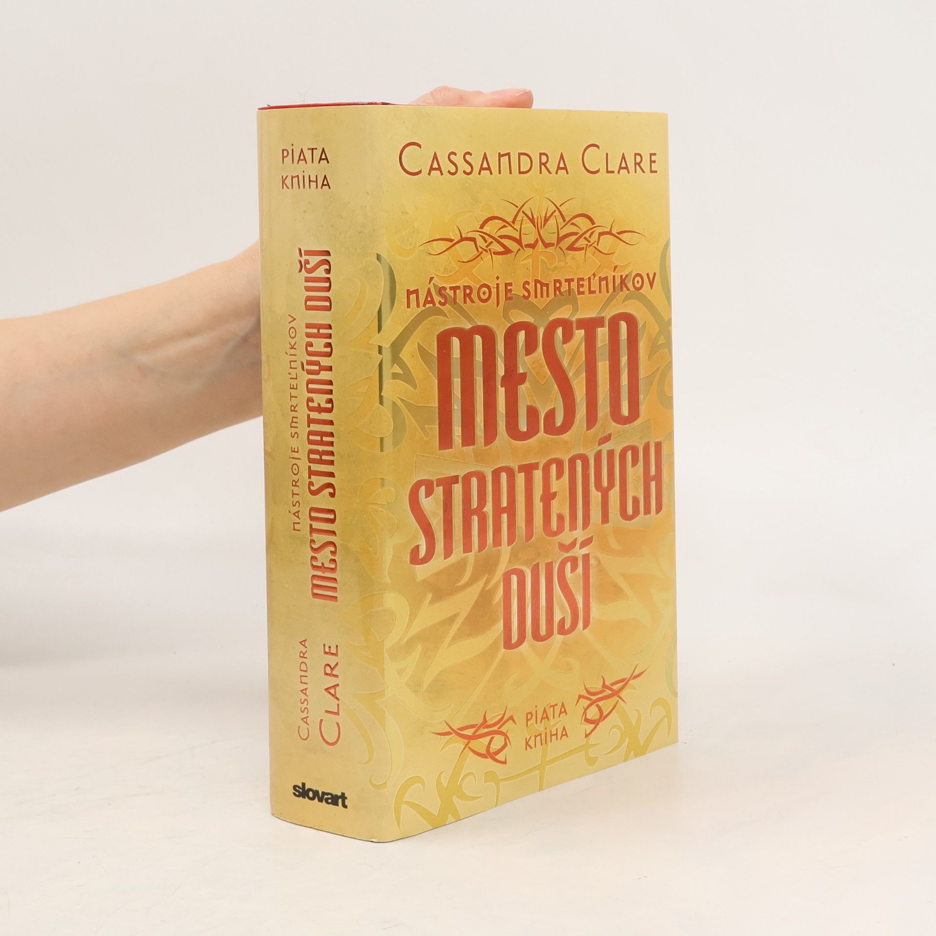 Cassandra Clare Mesto stratených duší