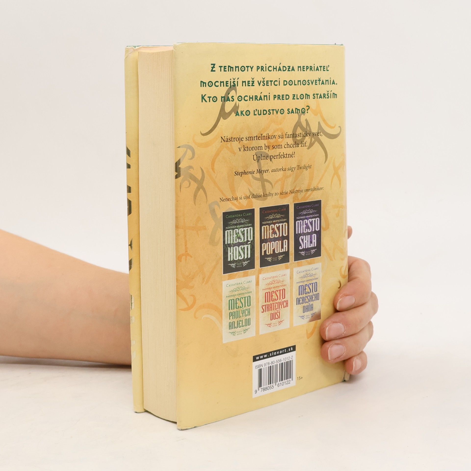 Cassandra Clare Mesto padlých anjelov