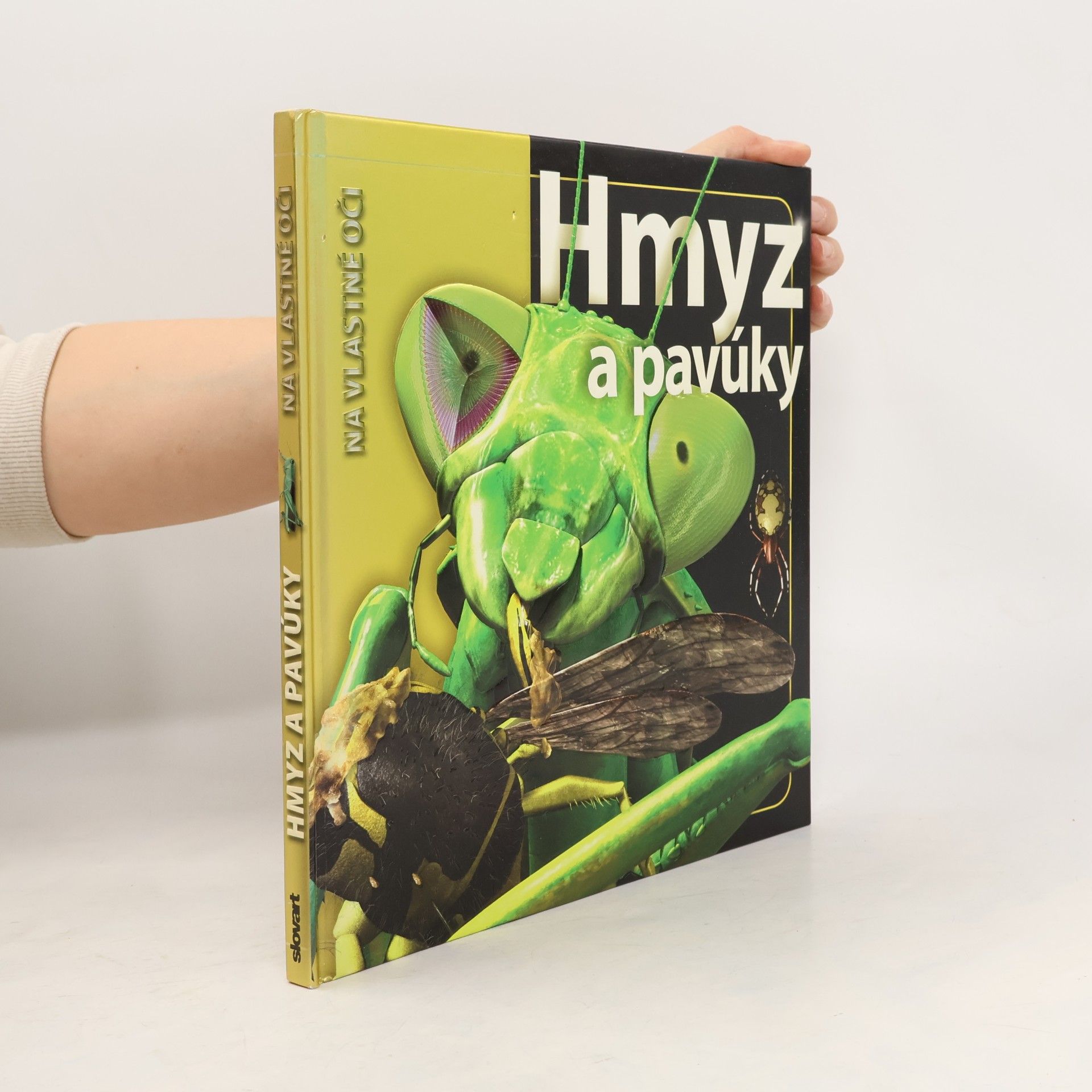 Autorenkollektiv Hmyz a pavúky
