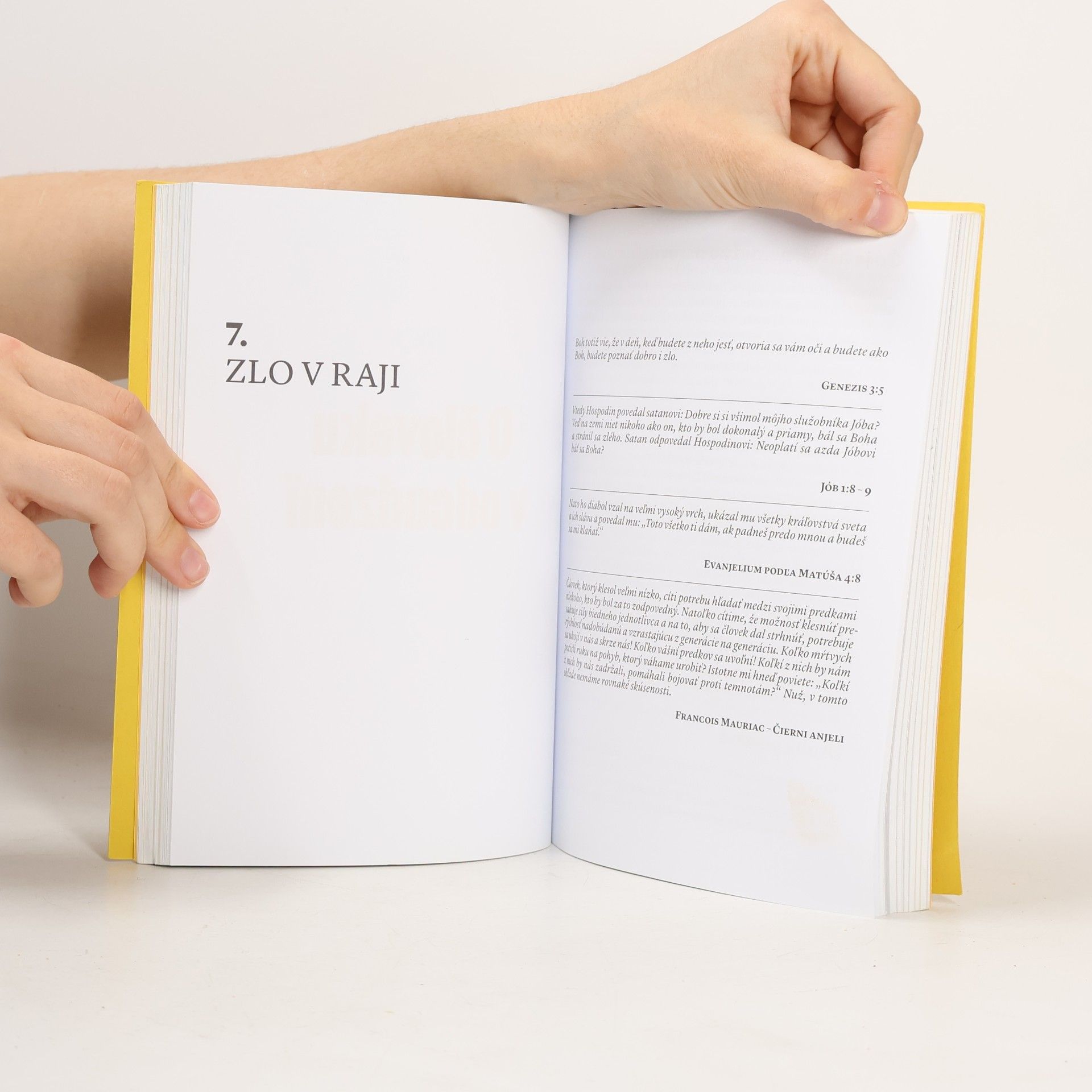 Daniel Pastirčák Labyrintom Biblie : putovanie za podivným prísľubom