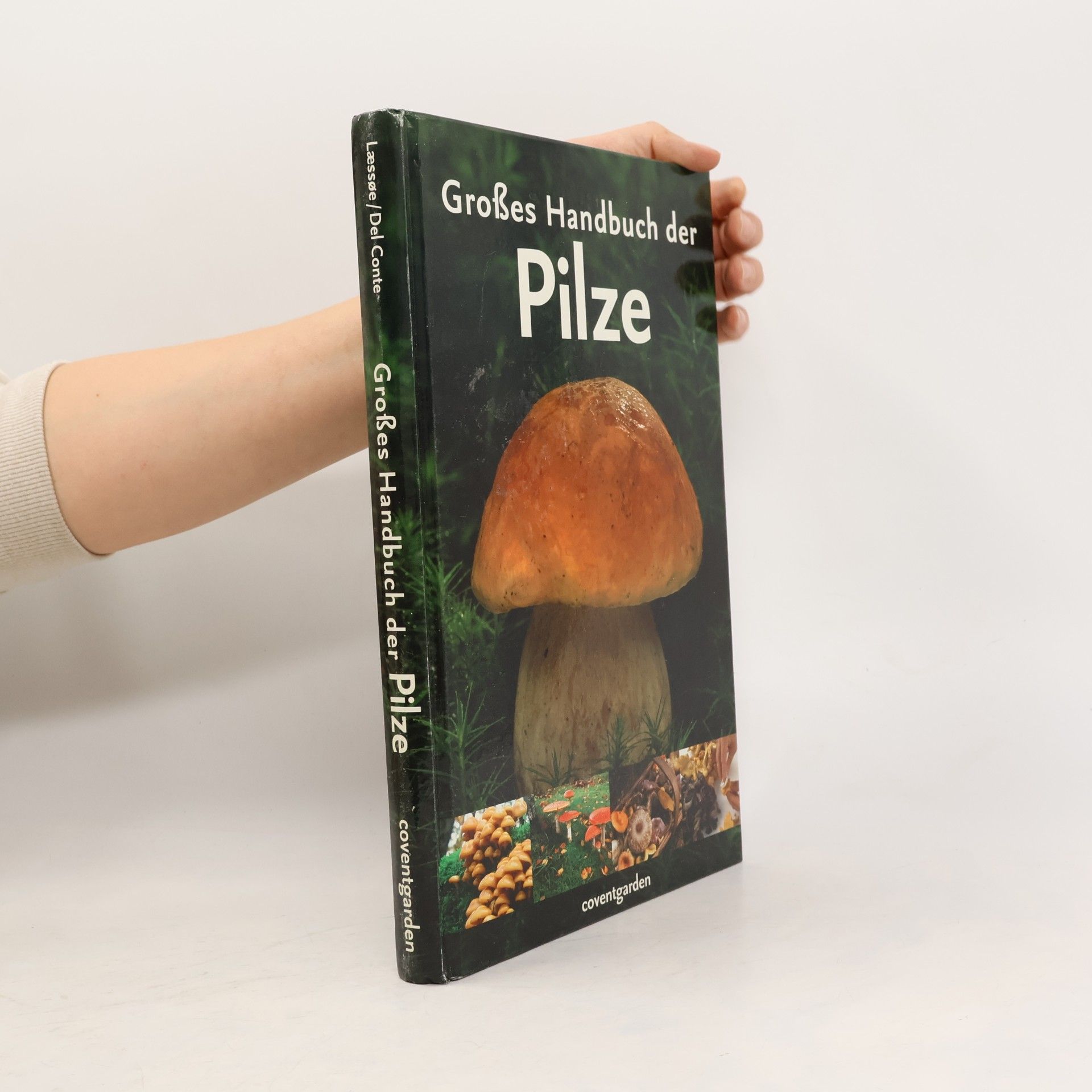 Großes Handbuch der Pilze