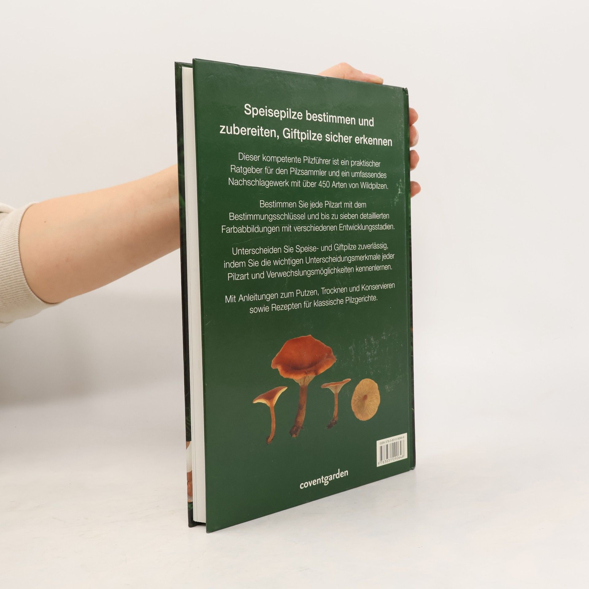 Thomas Laessoe Großes Handbuch der Pilze