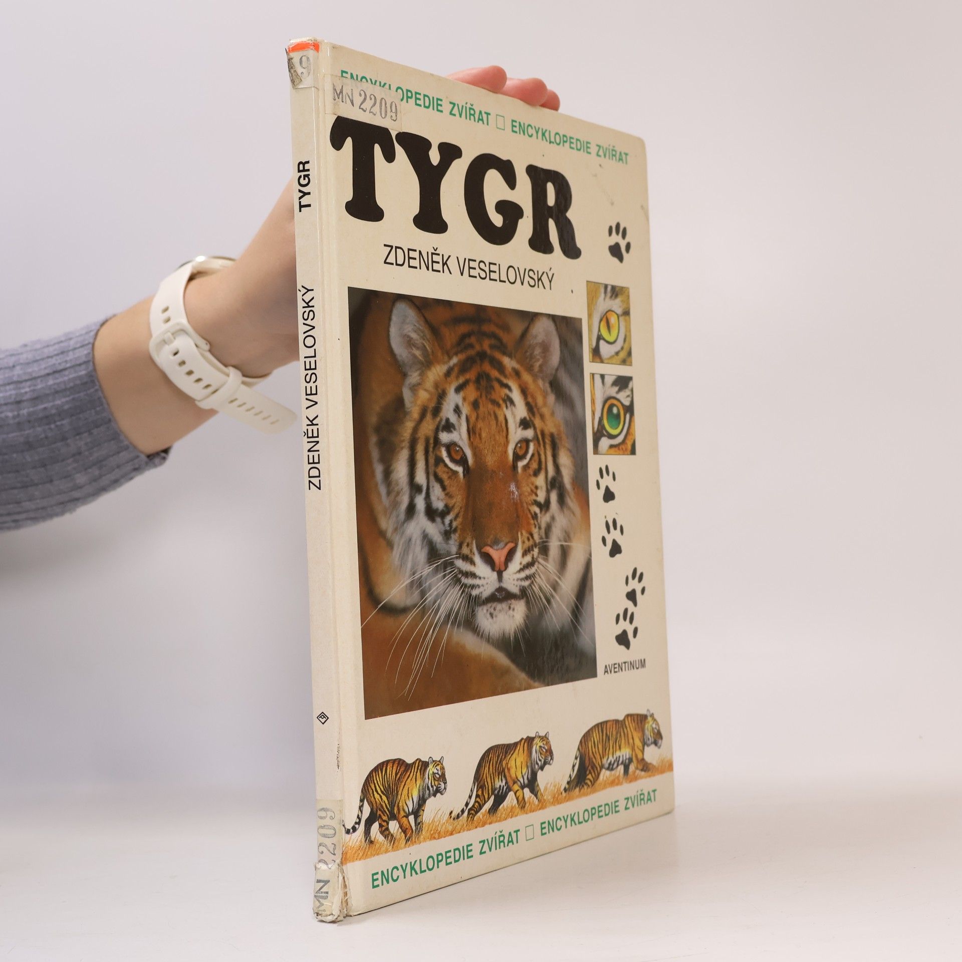 Tygr