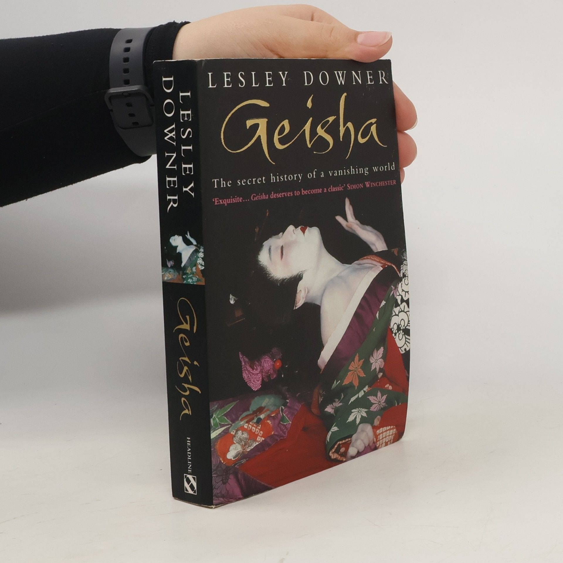 Geisha : The Secret History of a Vanishing World