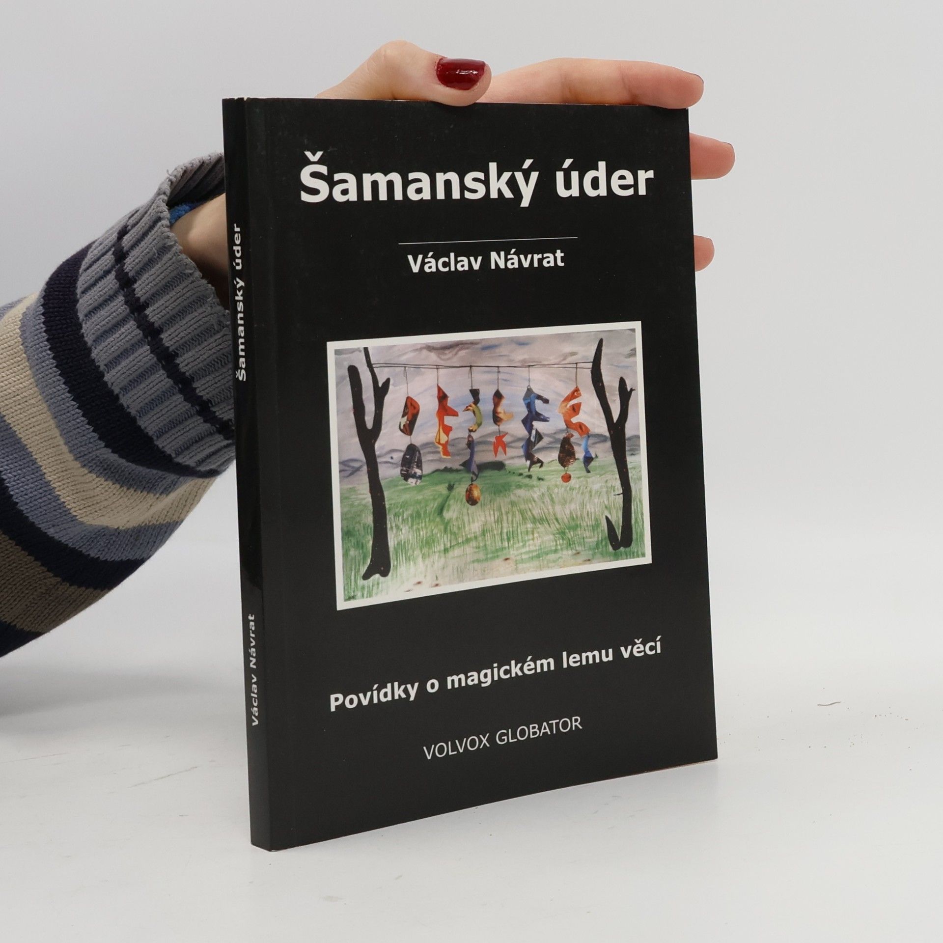 Václav Návrat Šamanský úder