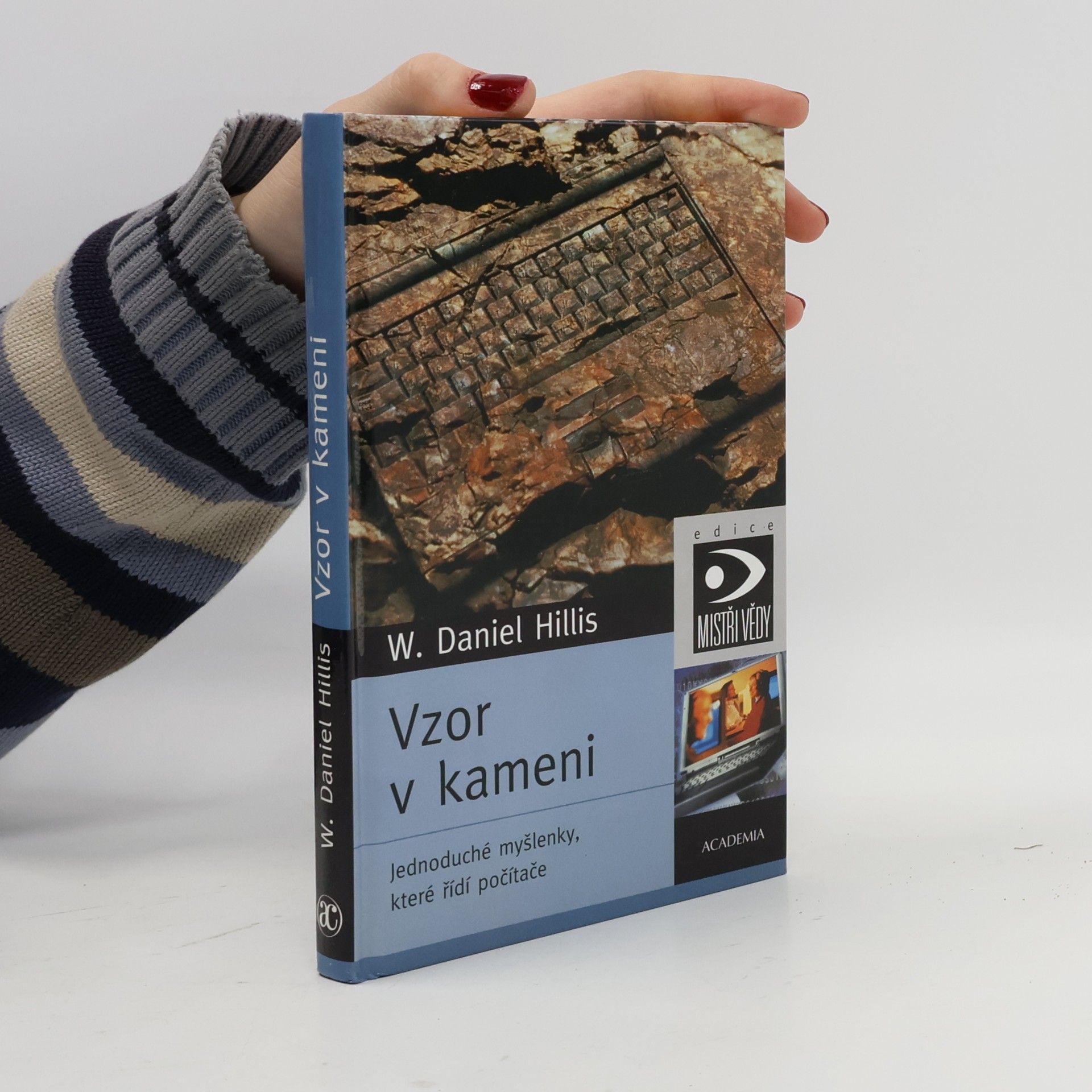 William Daniel Hillis Vzor v kameni. Jednoduché myšlenky, které řídí počítače