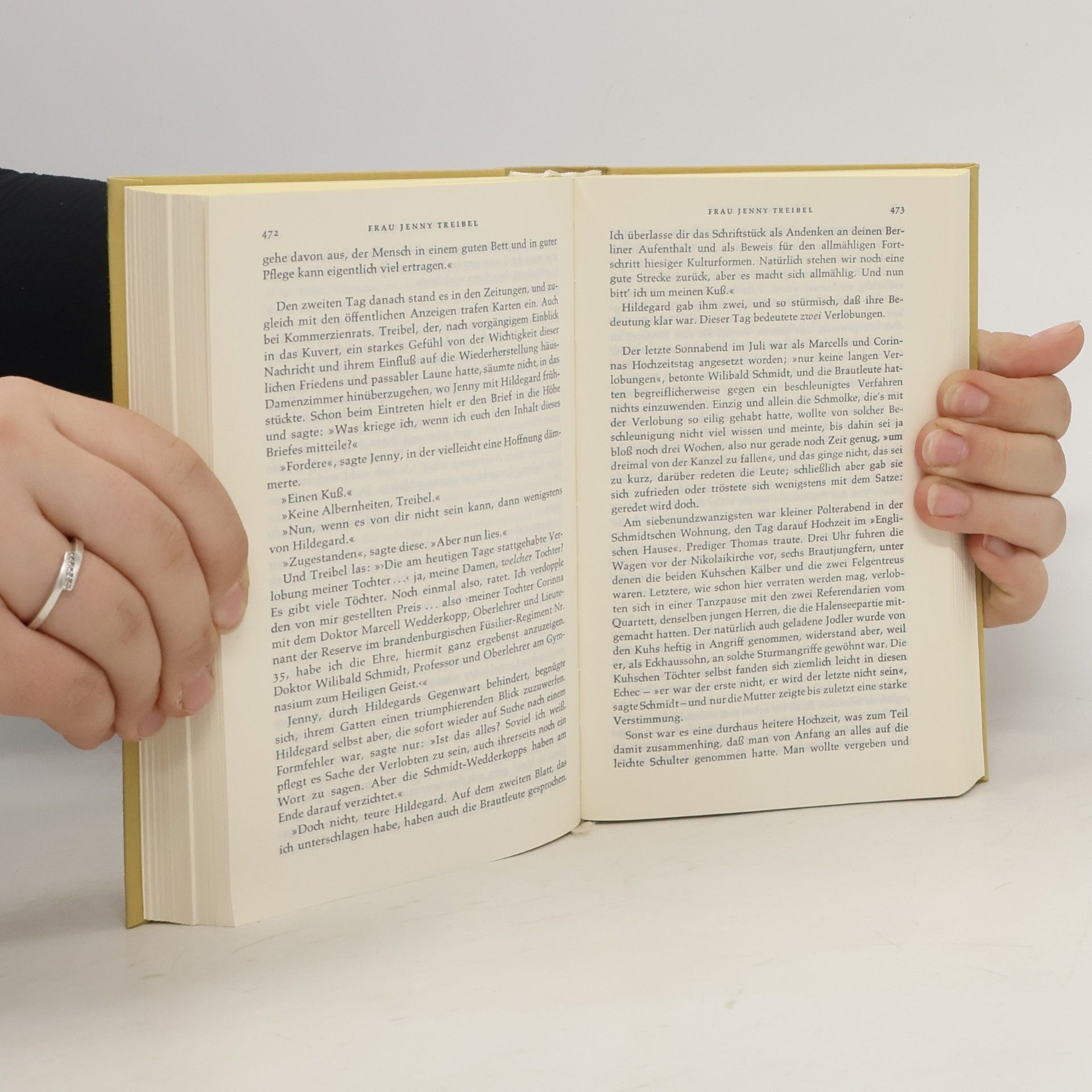 Theodor Fontane Werke, Schriften und Briefe I/4