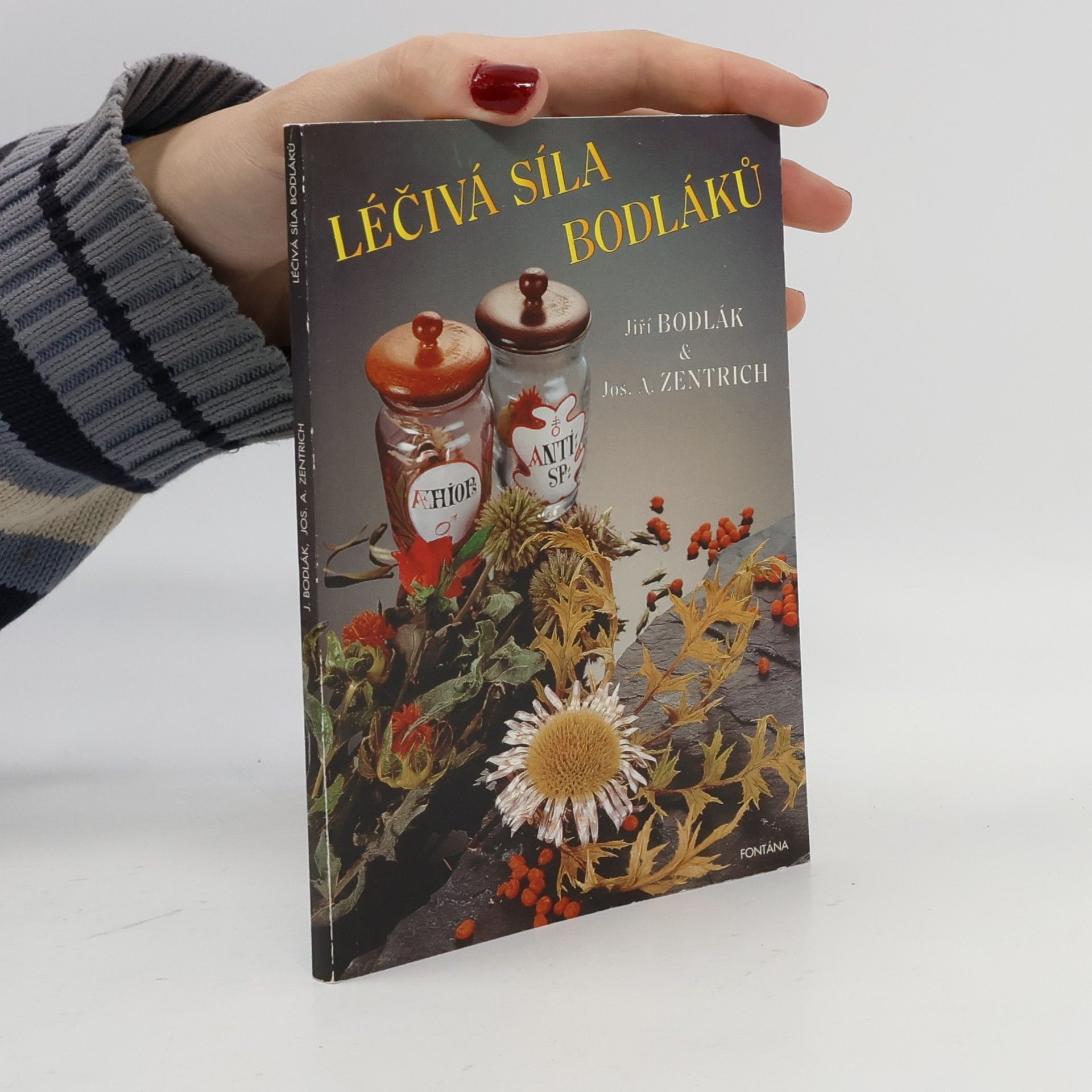 Léčivá síla bodláků