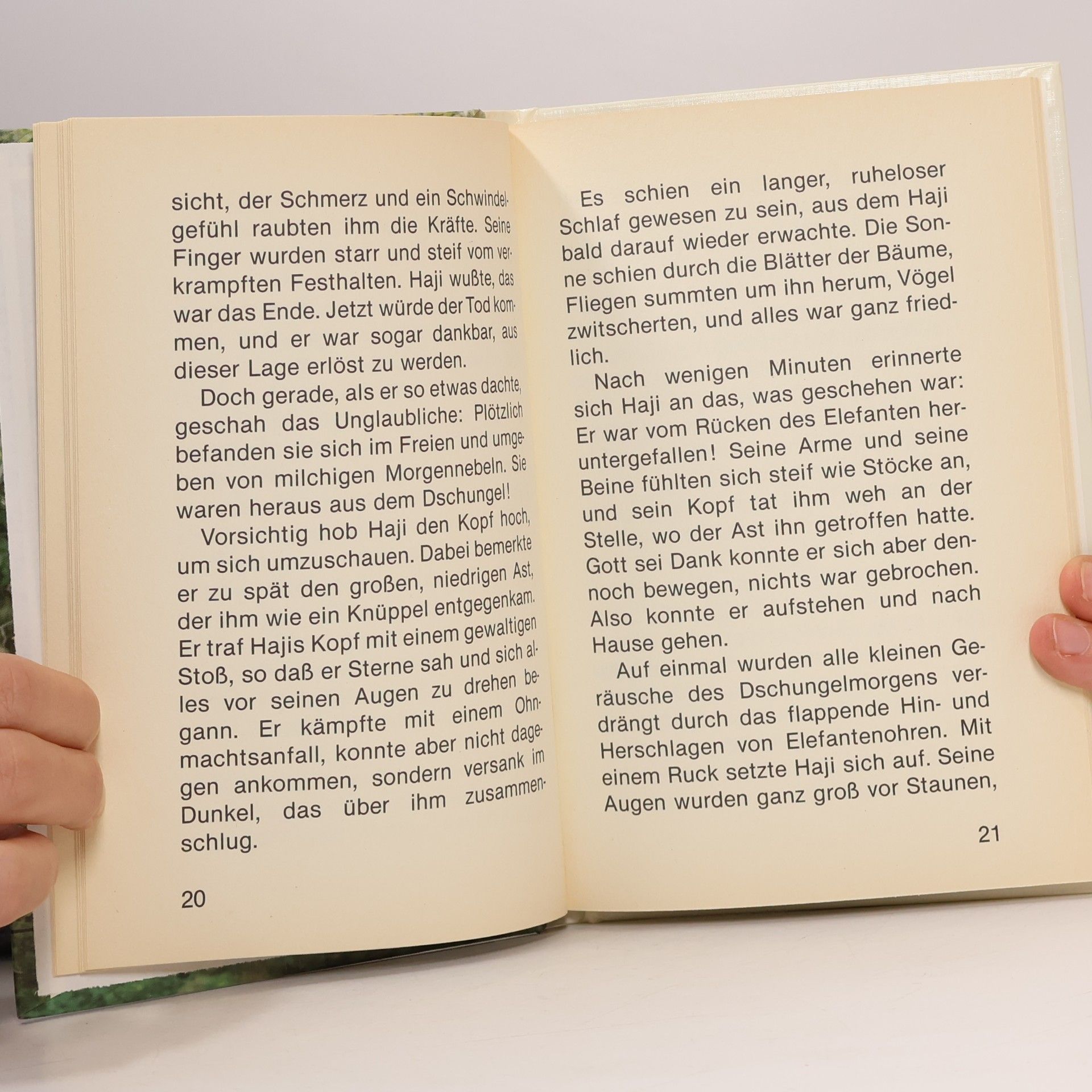 Ursula Kette Der König der Elefanten und andere Tiergeschichten