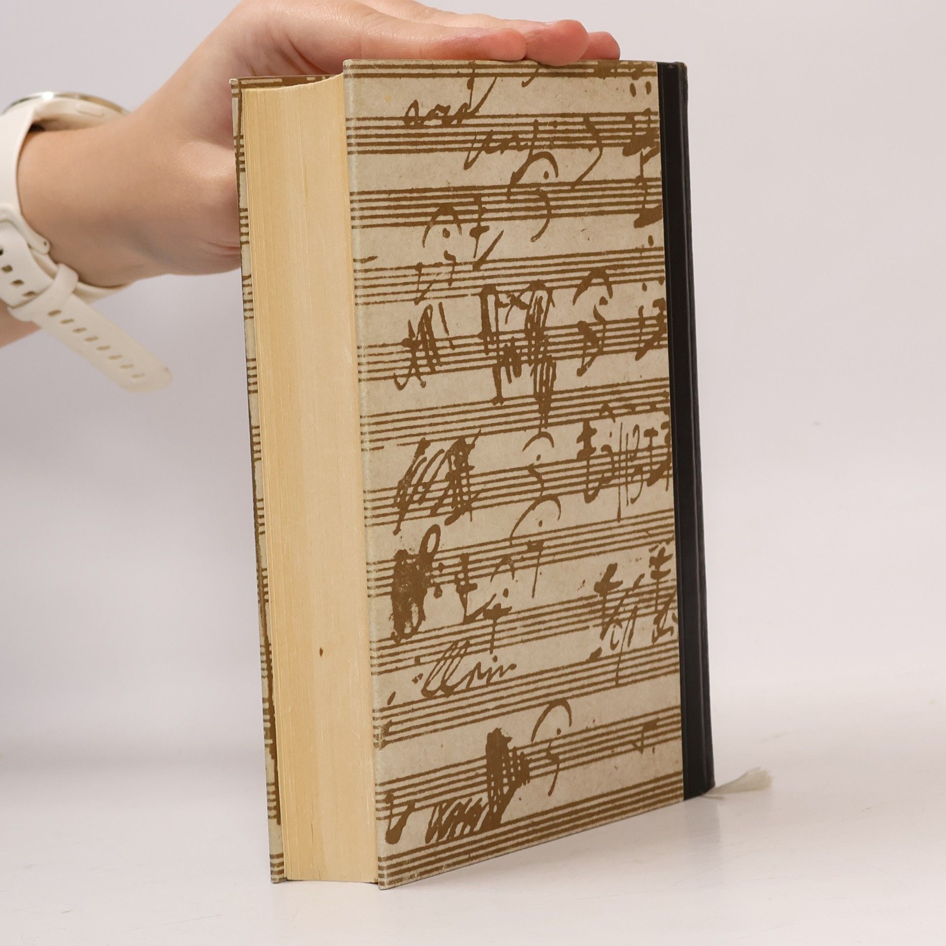 Kolektiv autorů Huch Beethoven