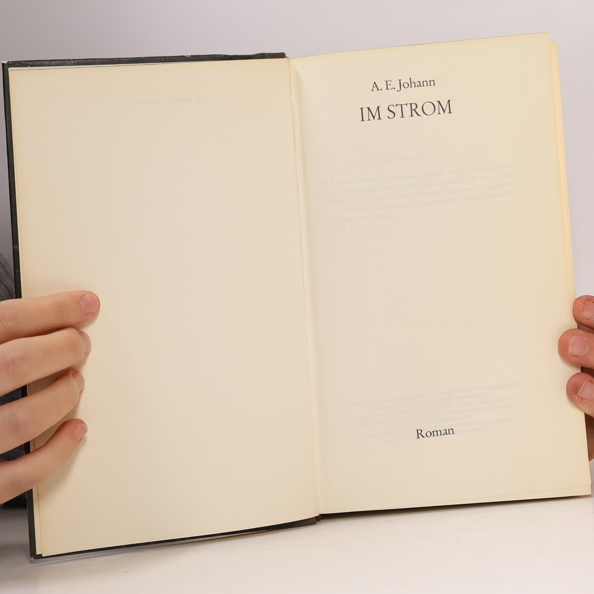 A. E. Johann Im Strom