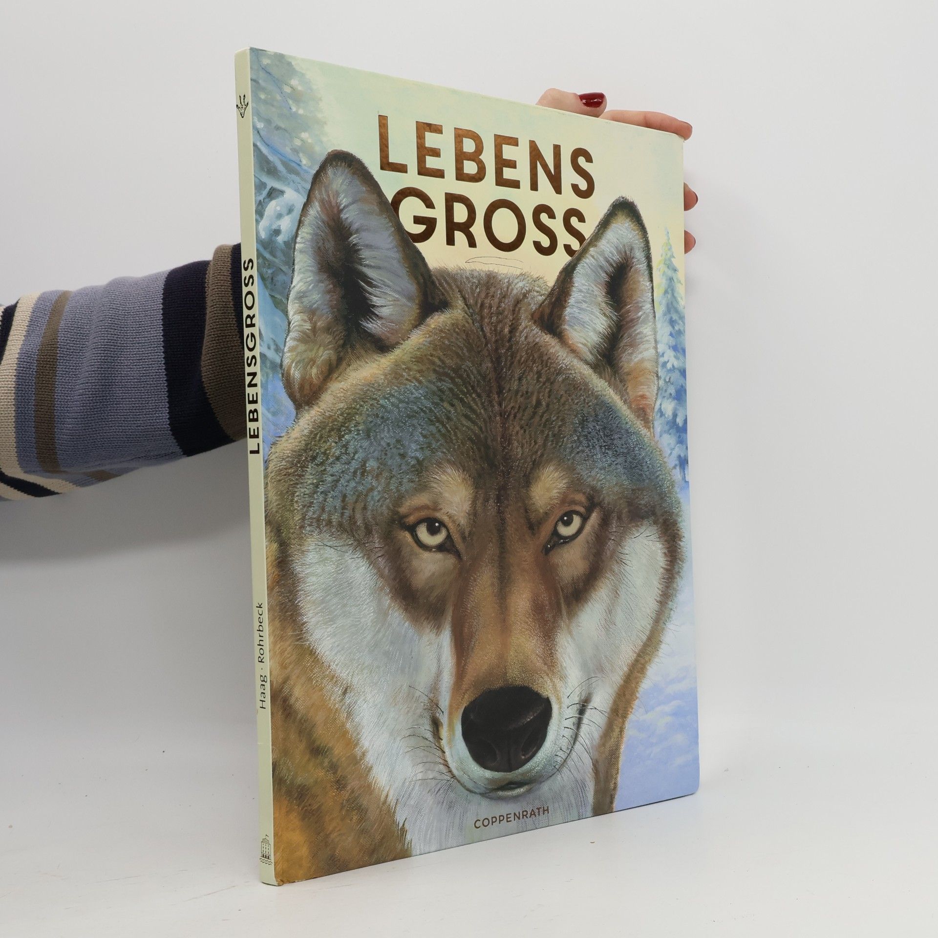 Holger Haag Lebensgroß - Tiere des Waldes