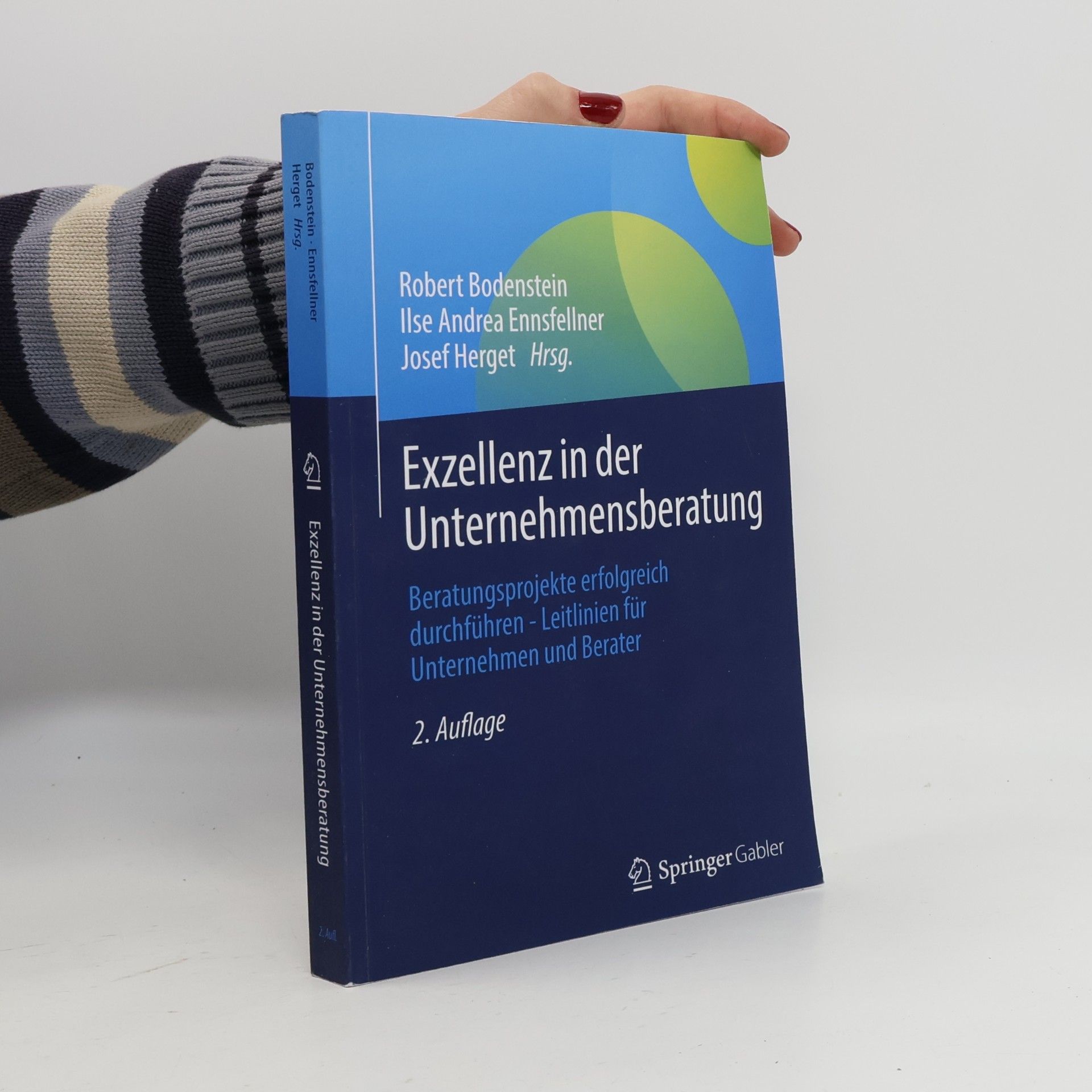 Robert Bodenstein Exzellenz in der Unternehmensberatung