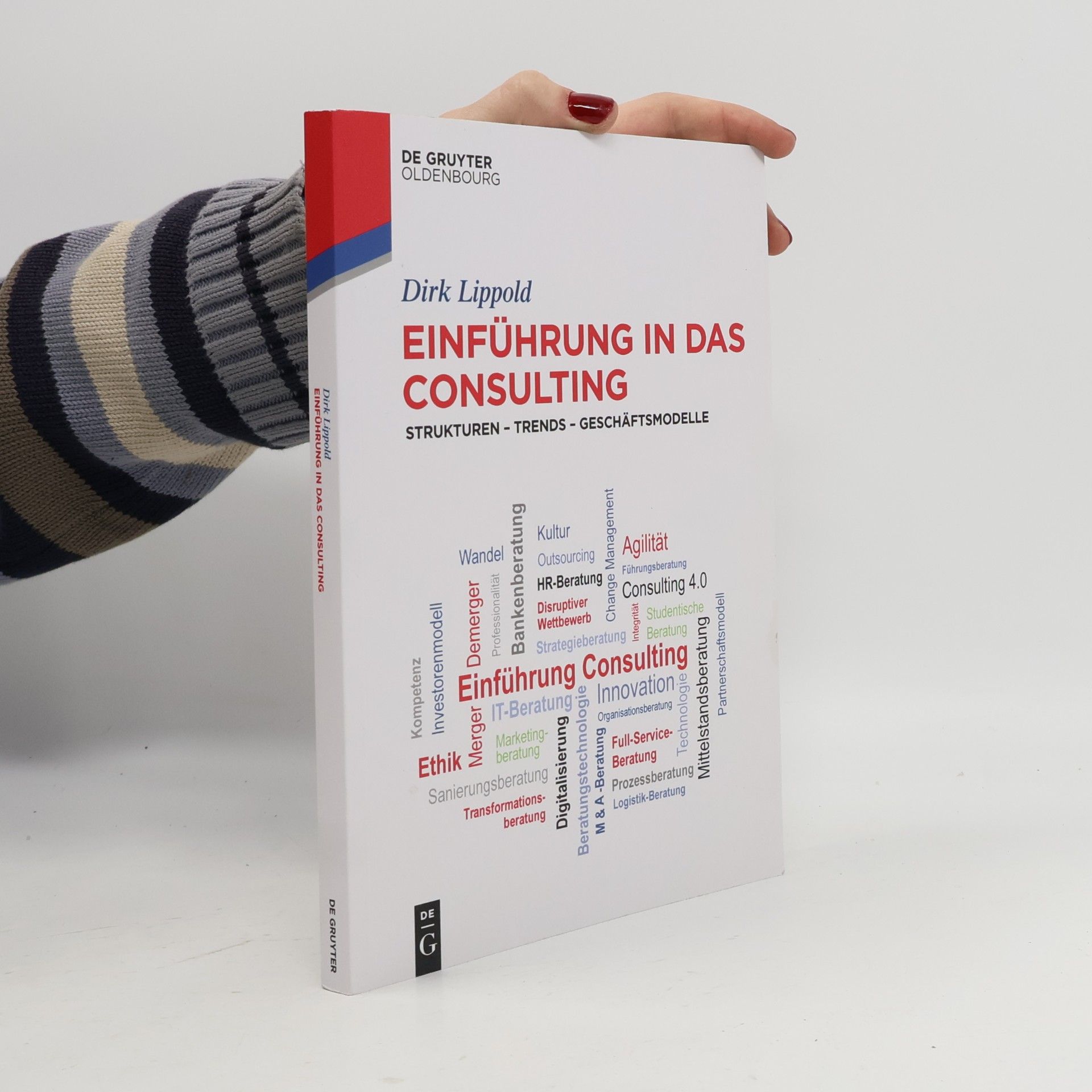 Einführung in das Consulting