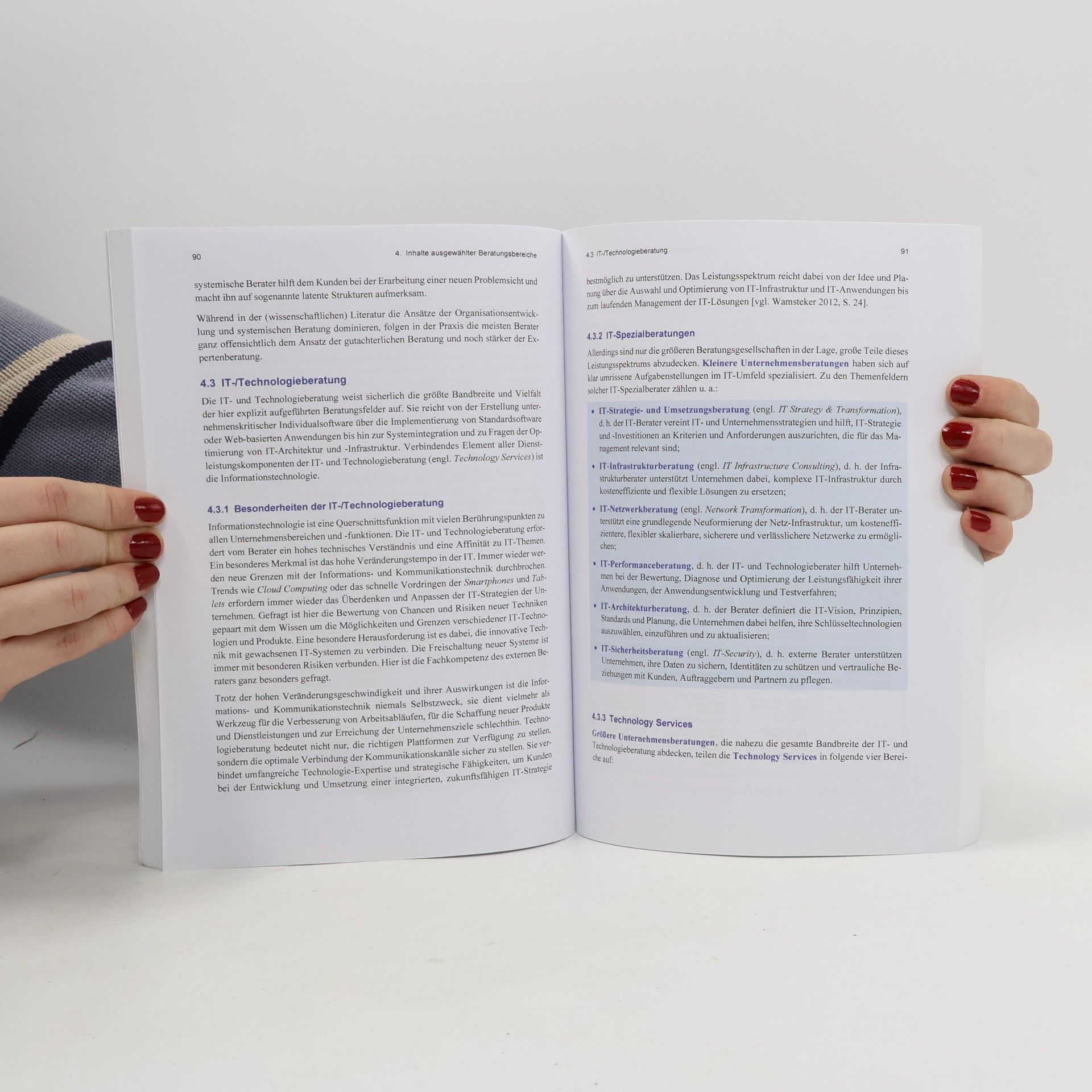 Dirk Lippold Einführung in das Consulting