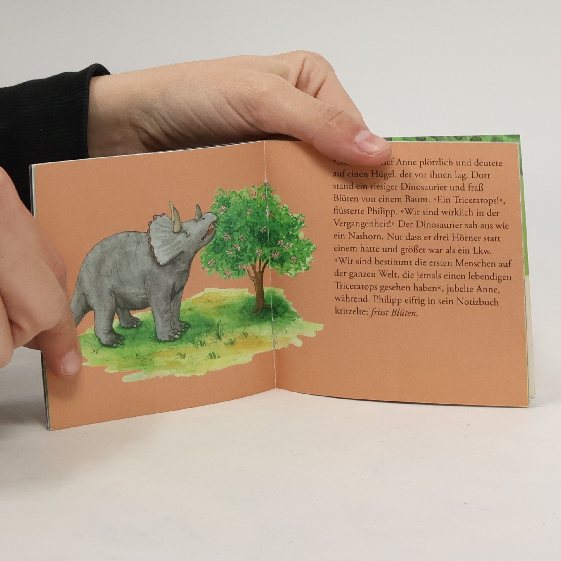 Mary Pope Osborne Im Tal der Dinosaurier