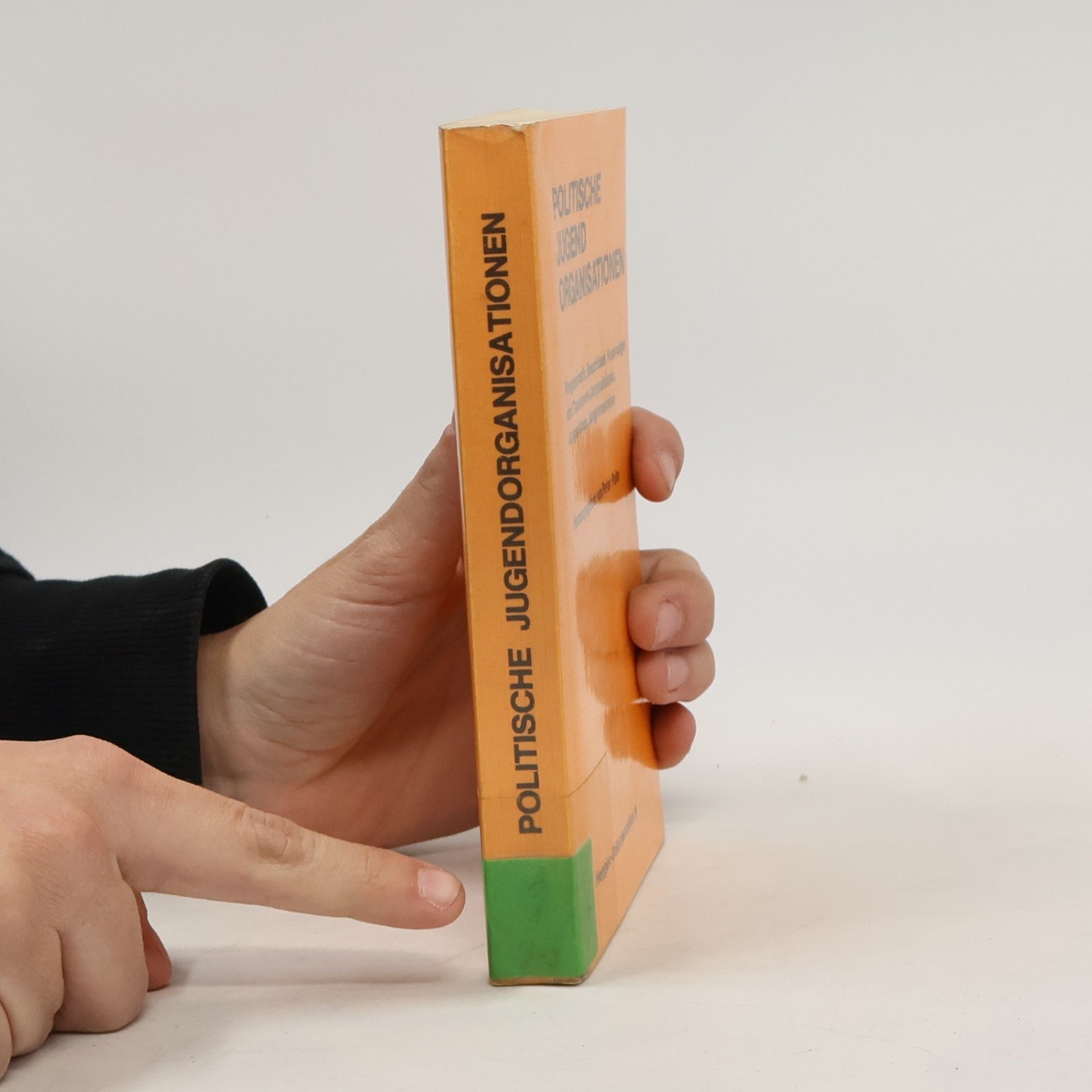 Peter Pulte Heggen-Dokumentation - 9: Politische Jugendorganisationen