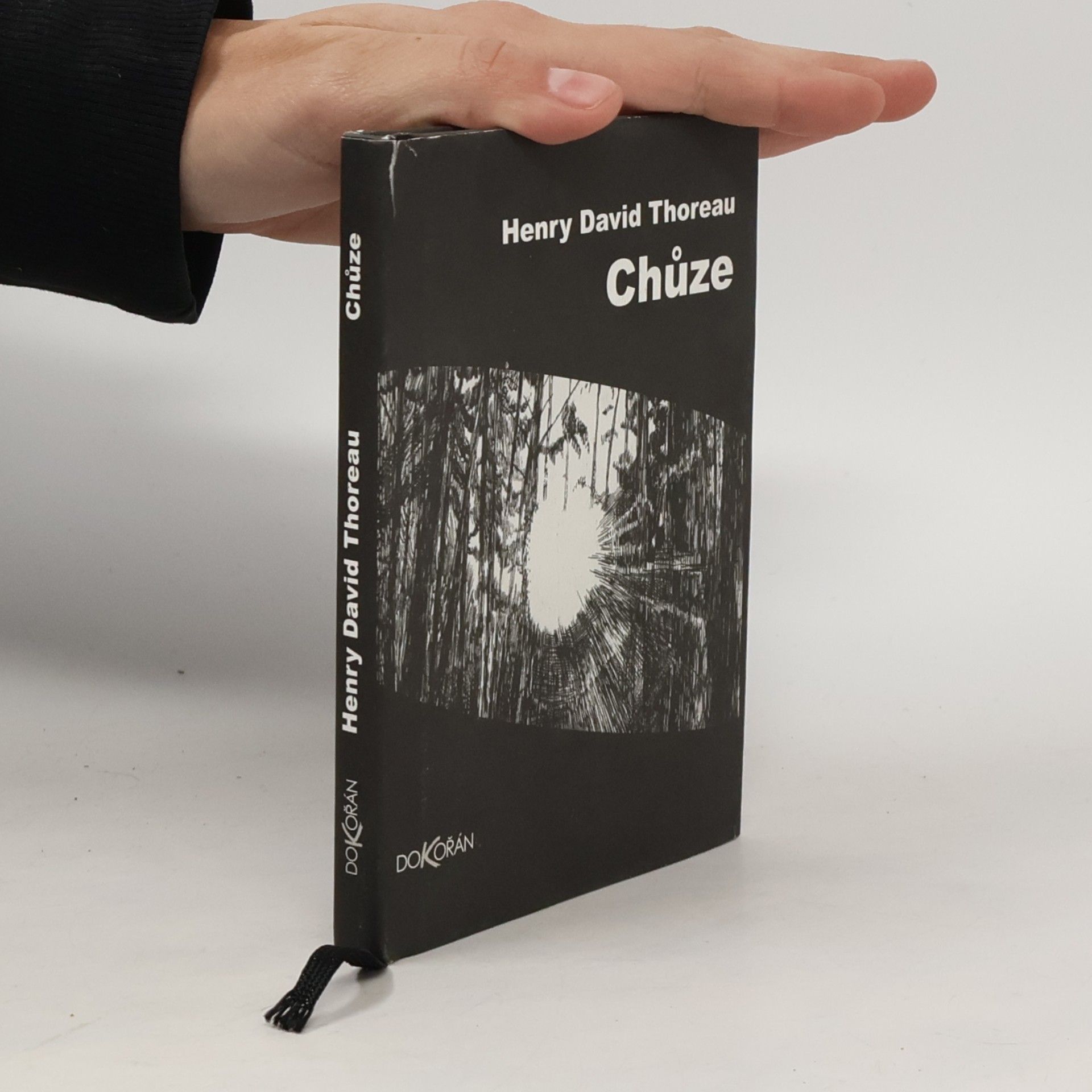 Chůze