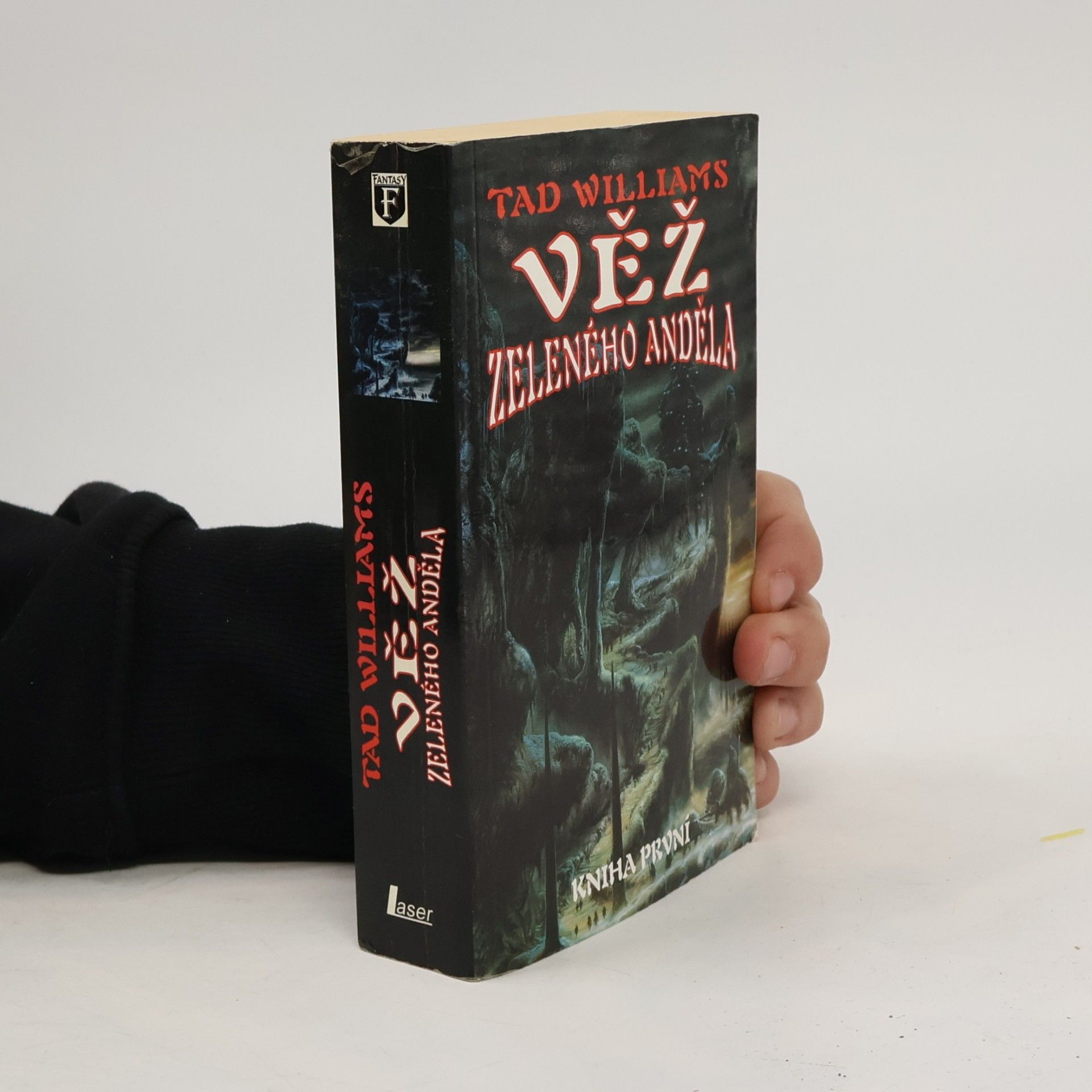 Tad Williams Věž Zeleného anděla