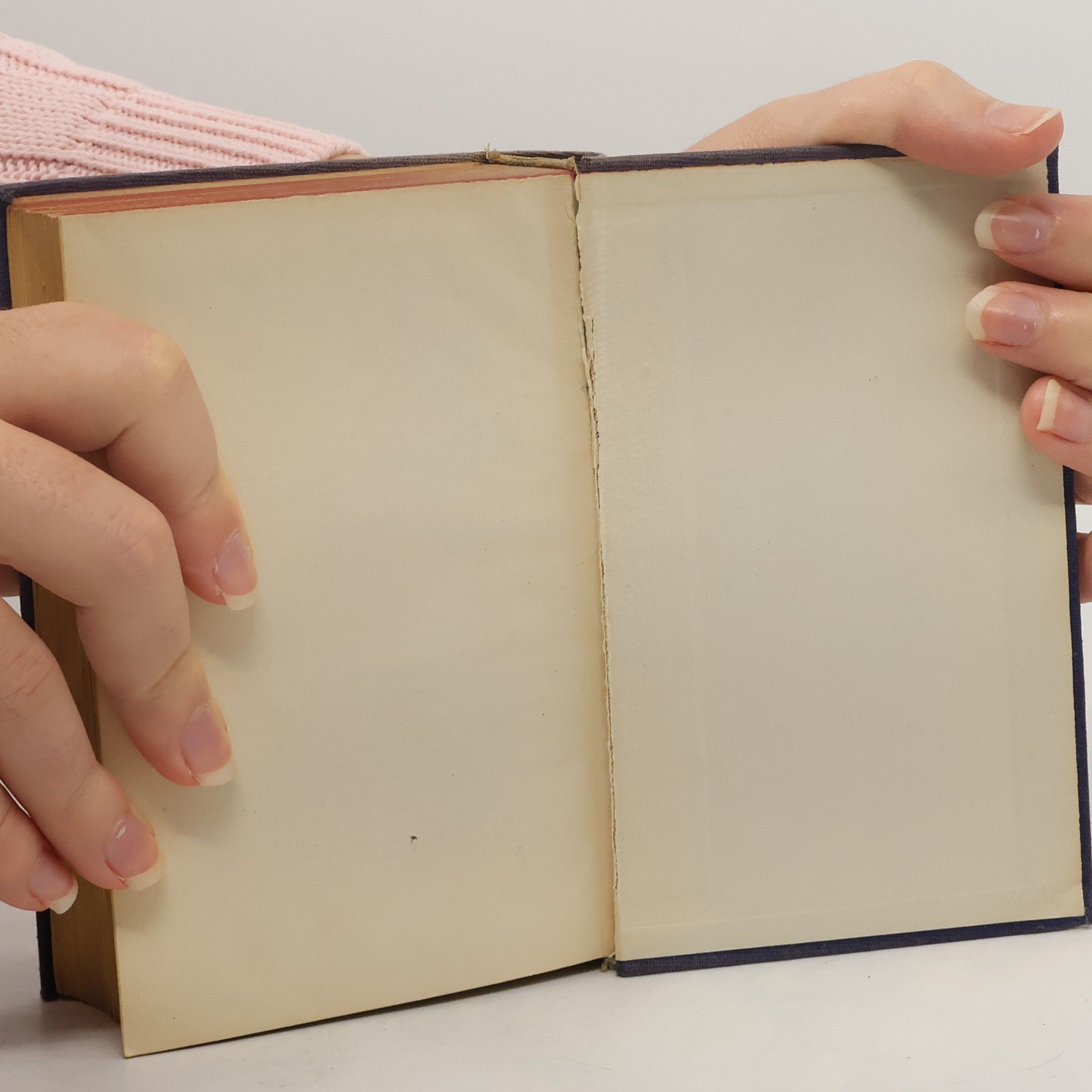 Th. Schoen Diccionario Manual de las Lenguas Española y Alemana. Langenscheidts Taschenwörterbuch