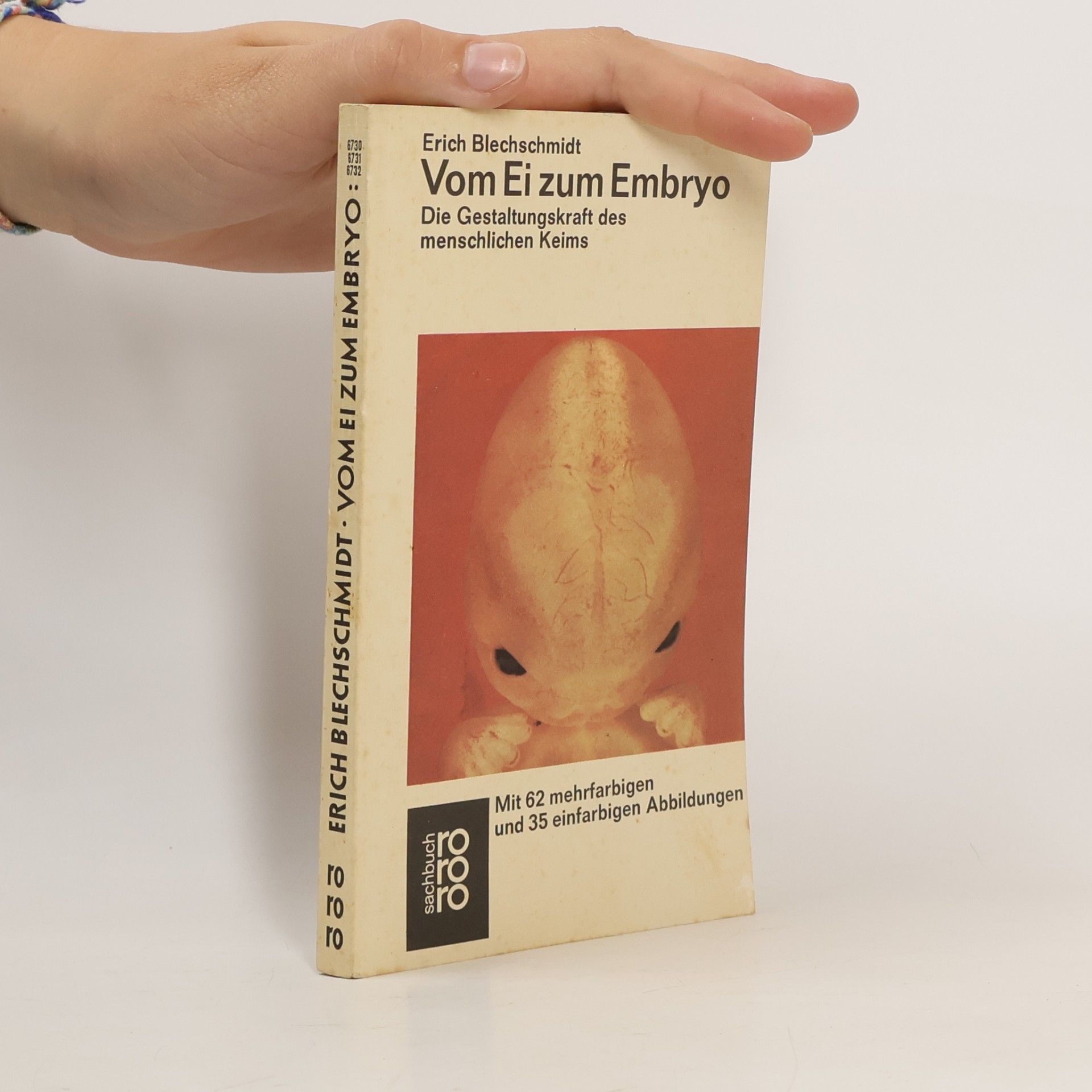 Erich Blechschmidt Vom Ei zum Embryo