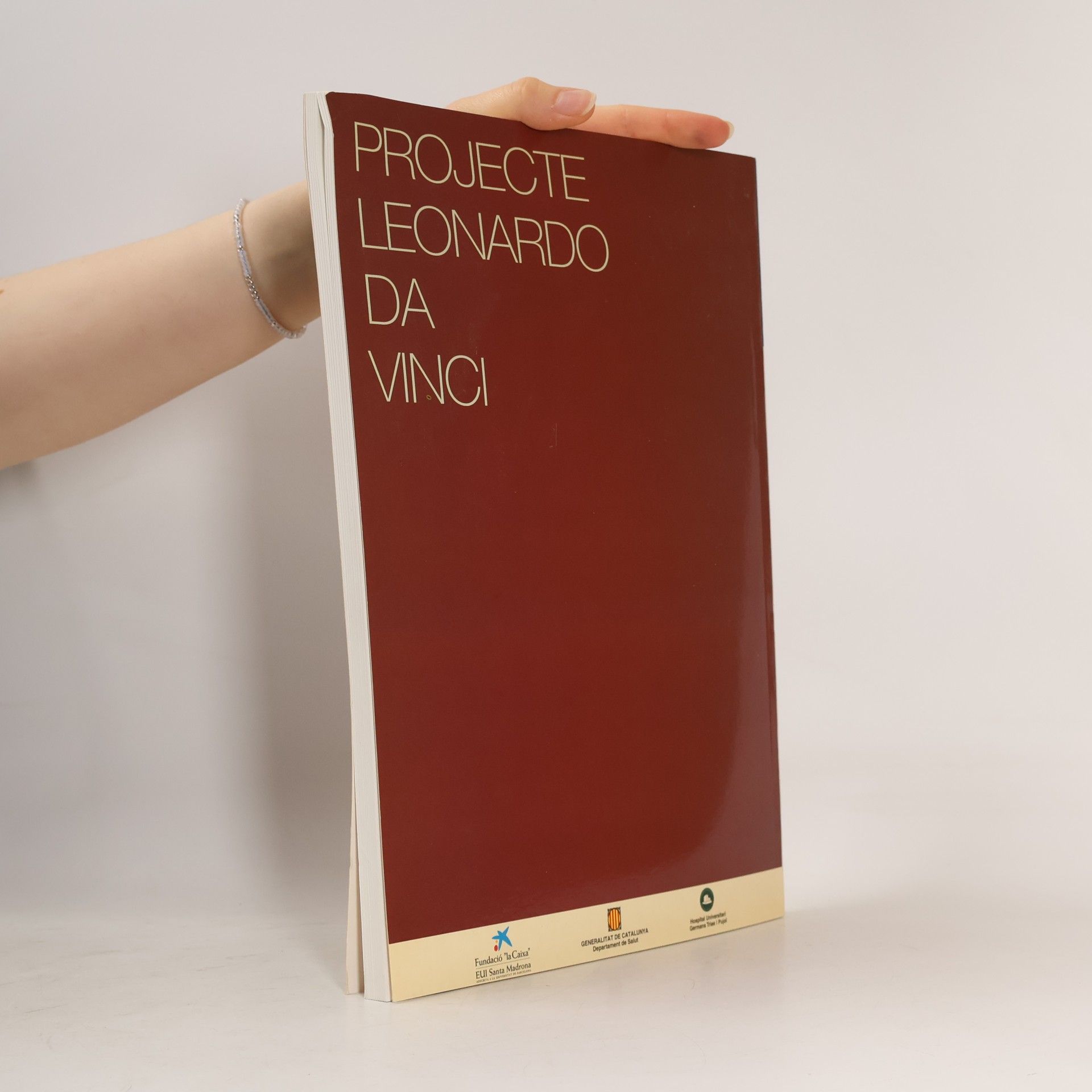 Projecte Leonardo da Vinci: Marc de referència professional per a la funció de supervisor/a d'infermeria de la demarcació pilot de Barcelona