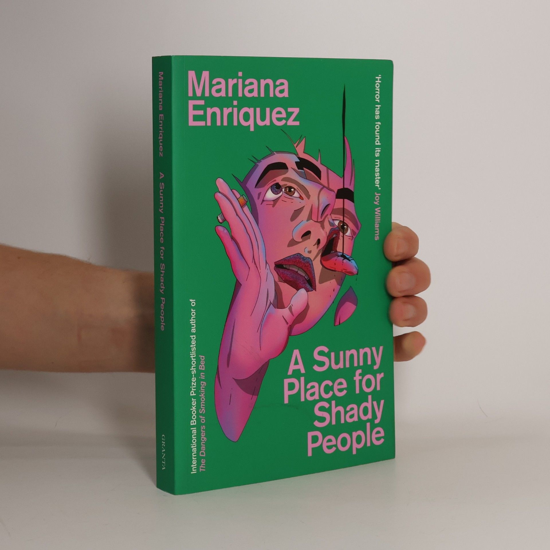 Mariana Enríquezová A Sunny Place for Shady People