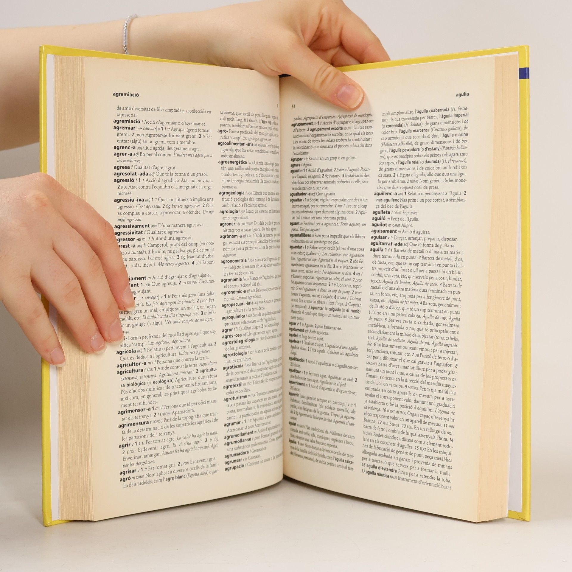 Various authors Diccionari de la llengua catalana 1