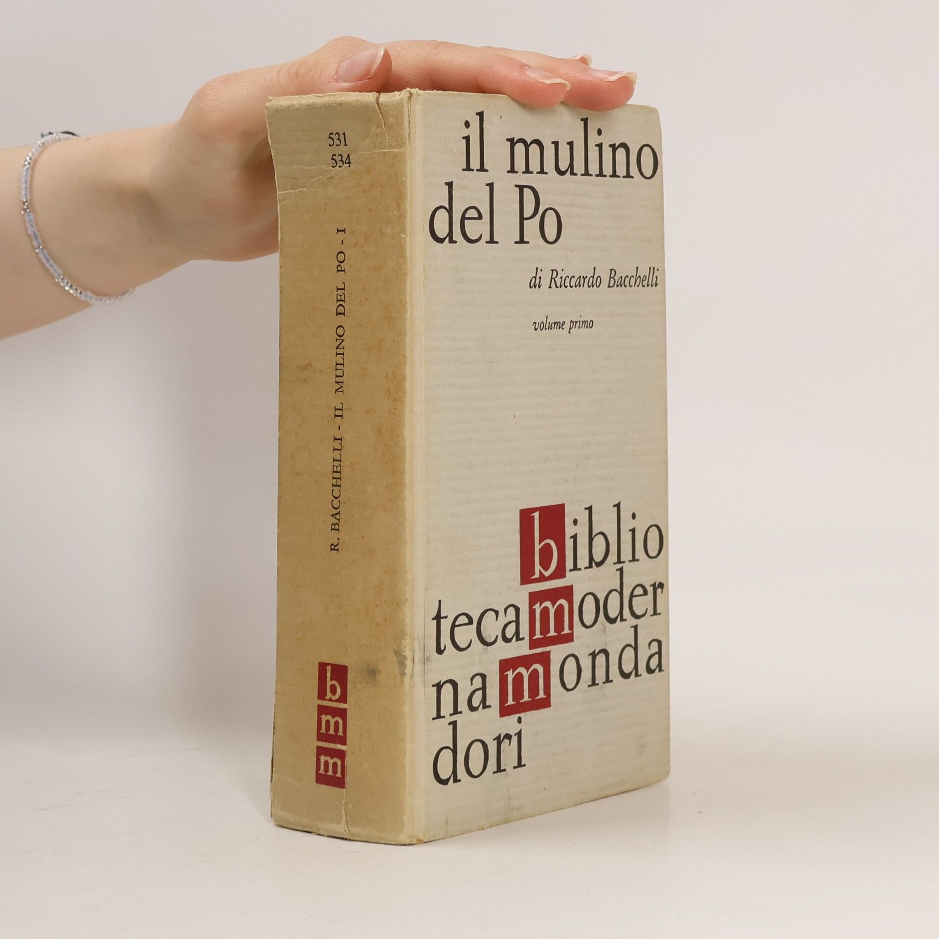 Il mulino del Po 1