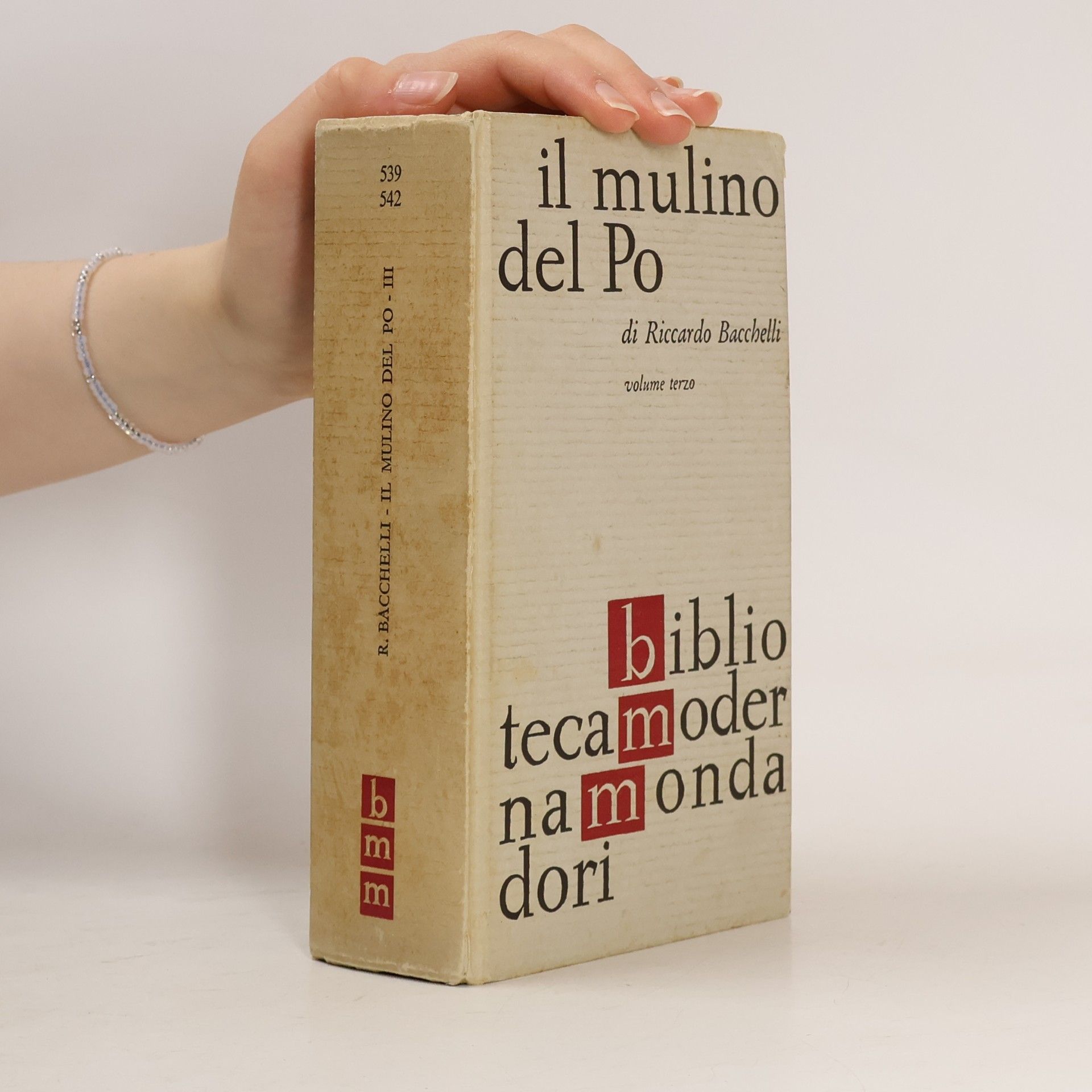 Il mulino del Po 3