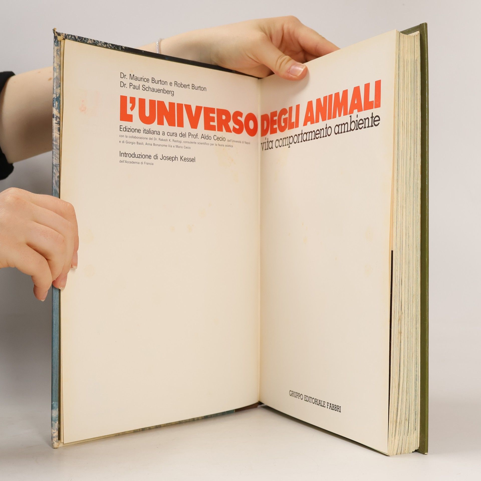 Various authors L'Universo Degli Animali 9