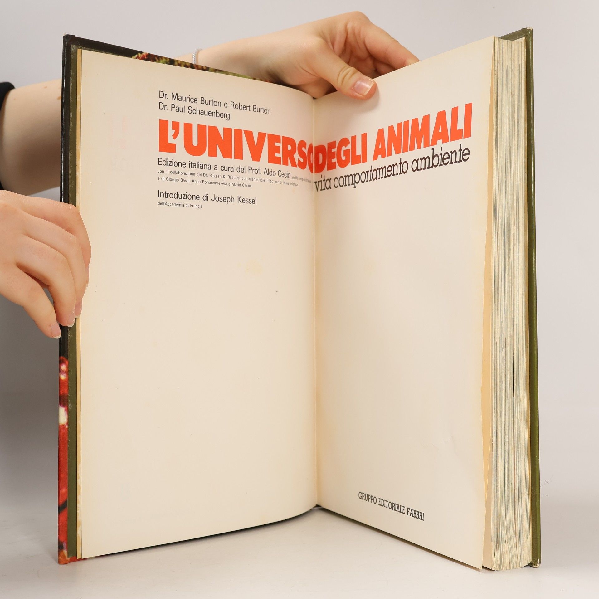 Various authors L'Universo Degli Animali 8