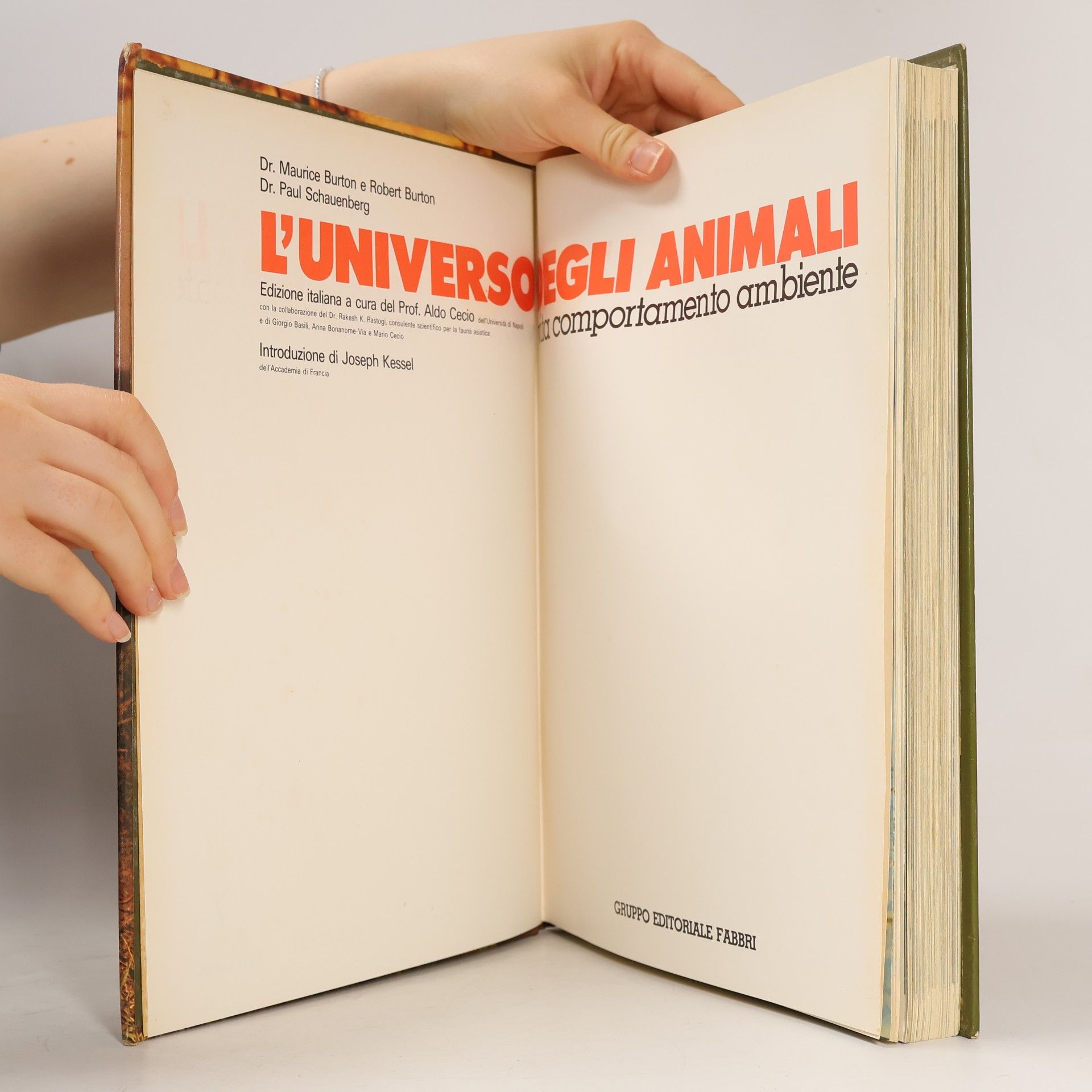 Various authors L'Universo Degli Animali 7