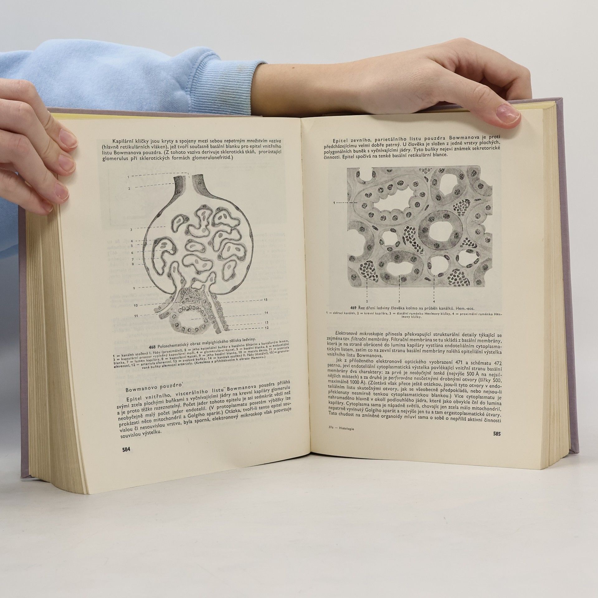 Jan Wolf Histologie