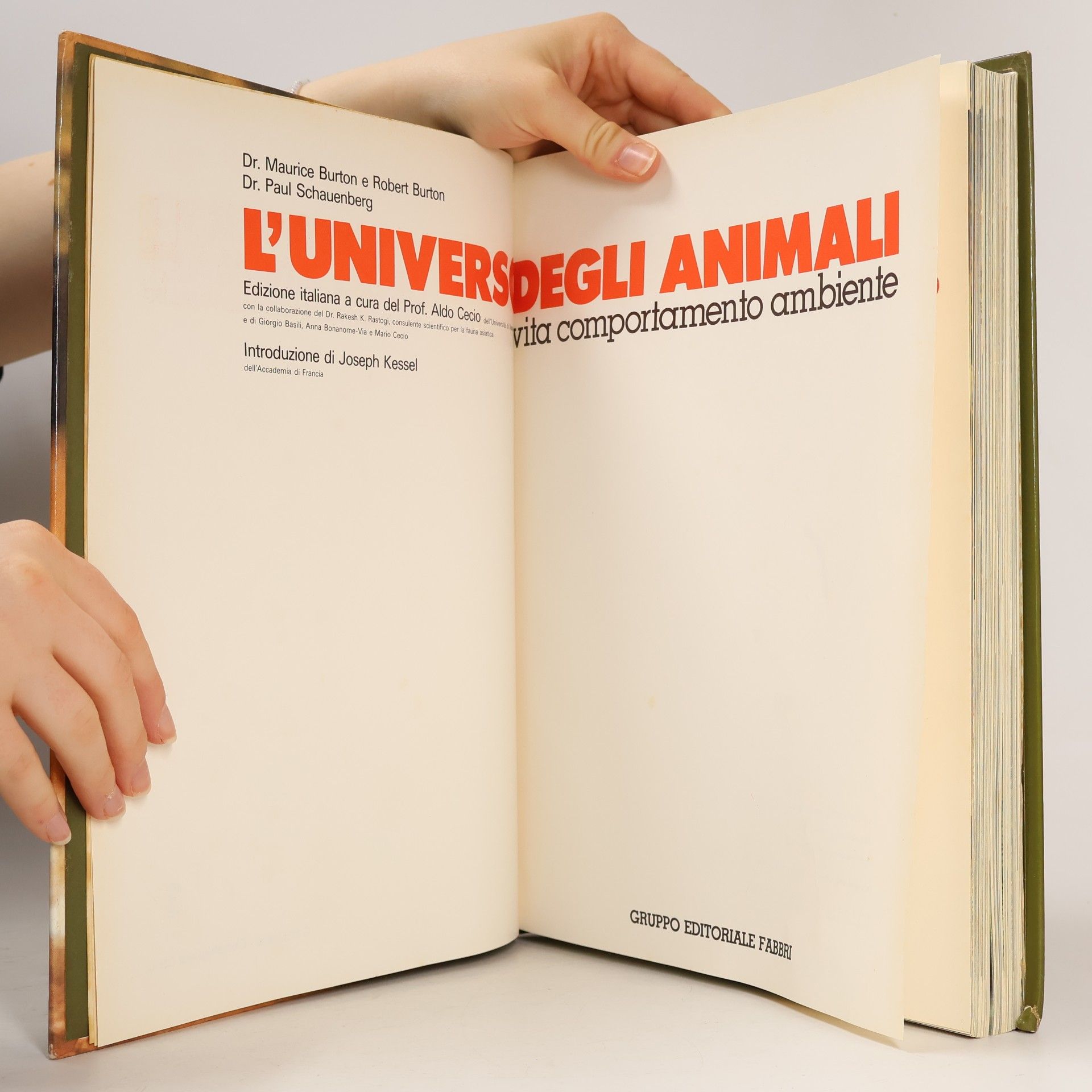 Various authors L'Universo degli Animali 3