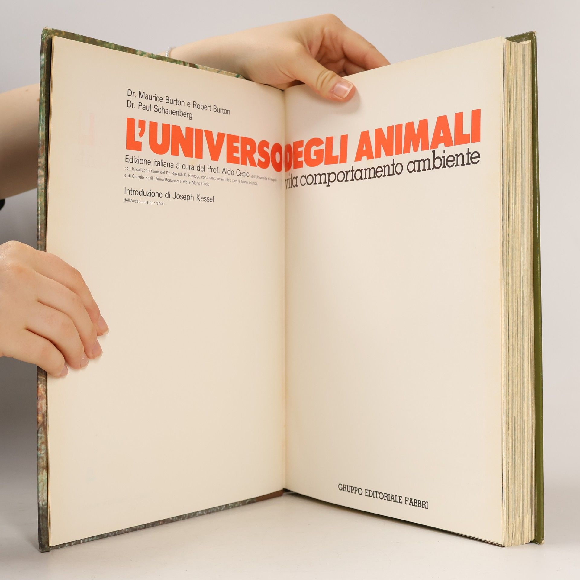 Various authors L'Universo degli Animali 4