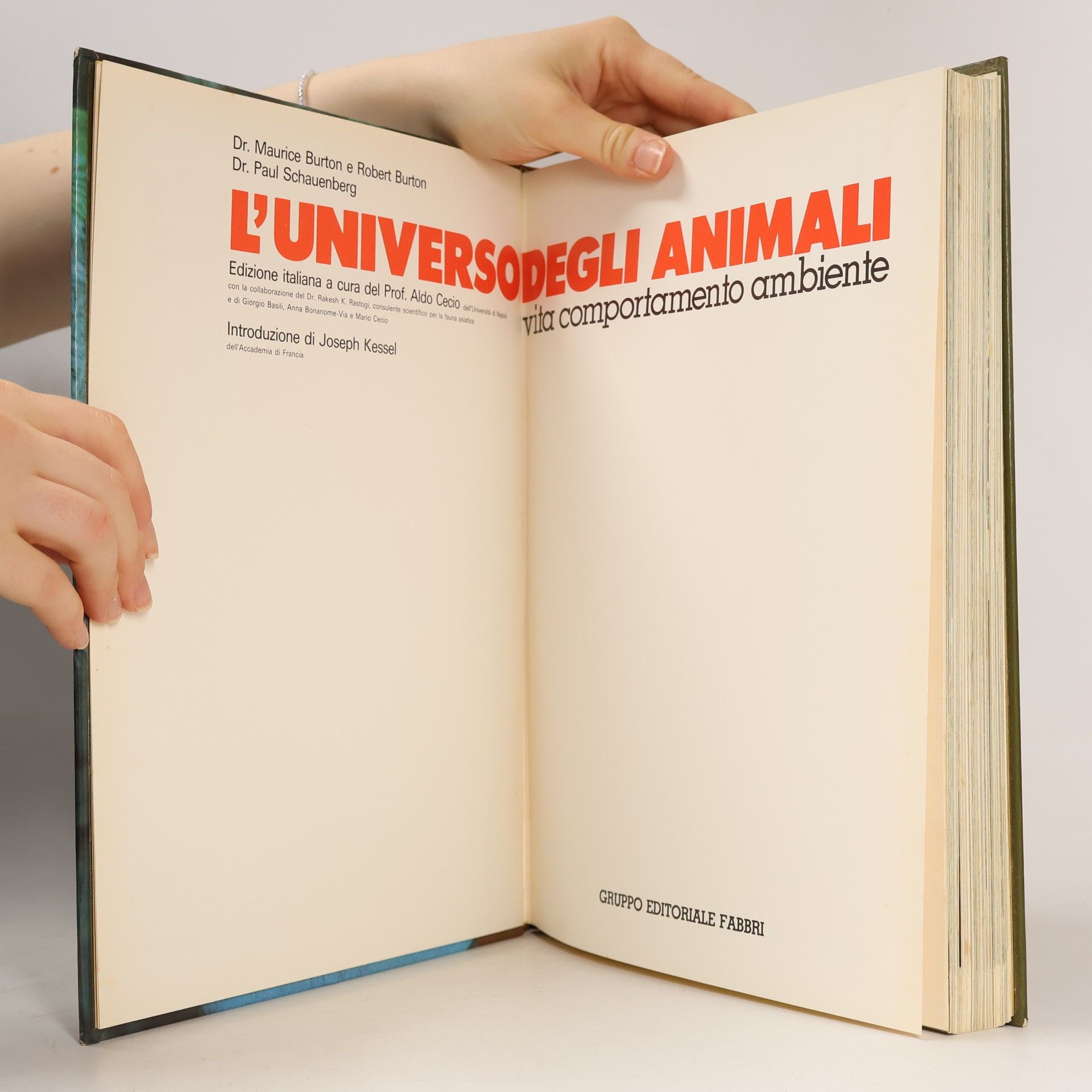 Various authors L'Universo degli Animali 6