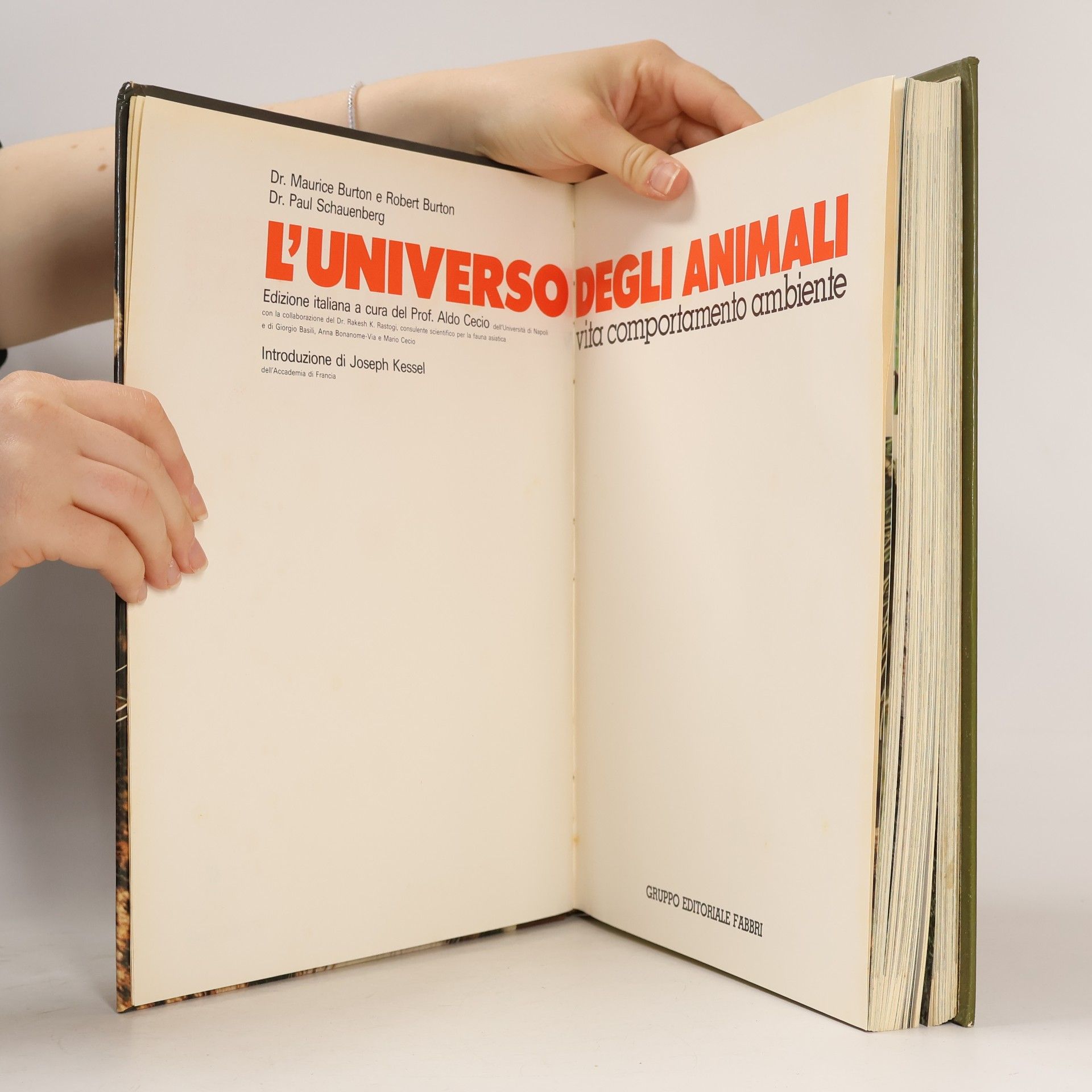 Various authors L'Universo degli Animali 5