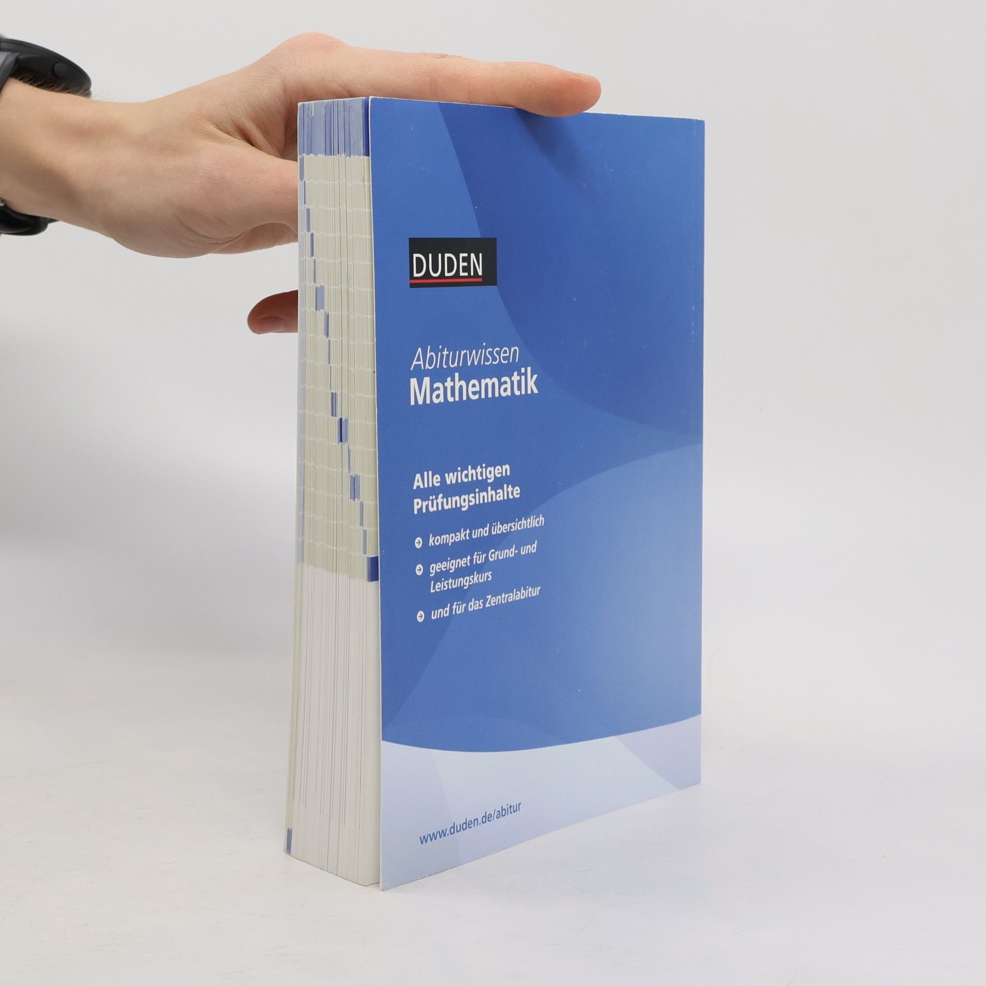 Collectif d'auteurs Abiturwissen mathematik