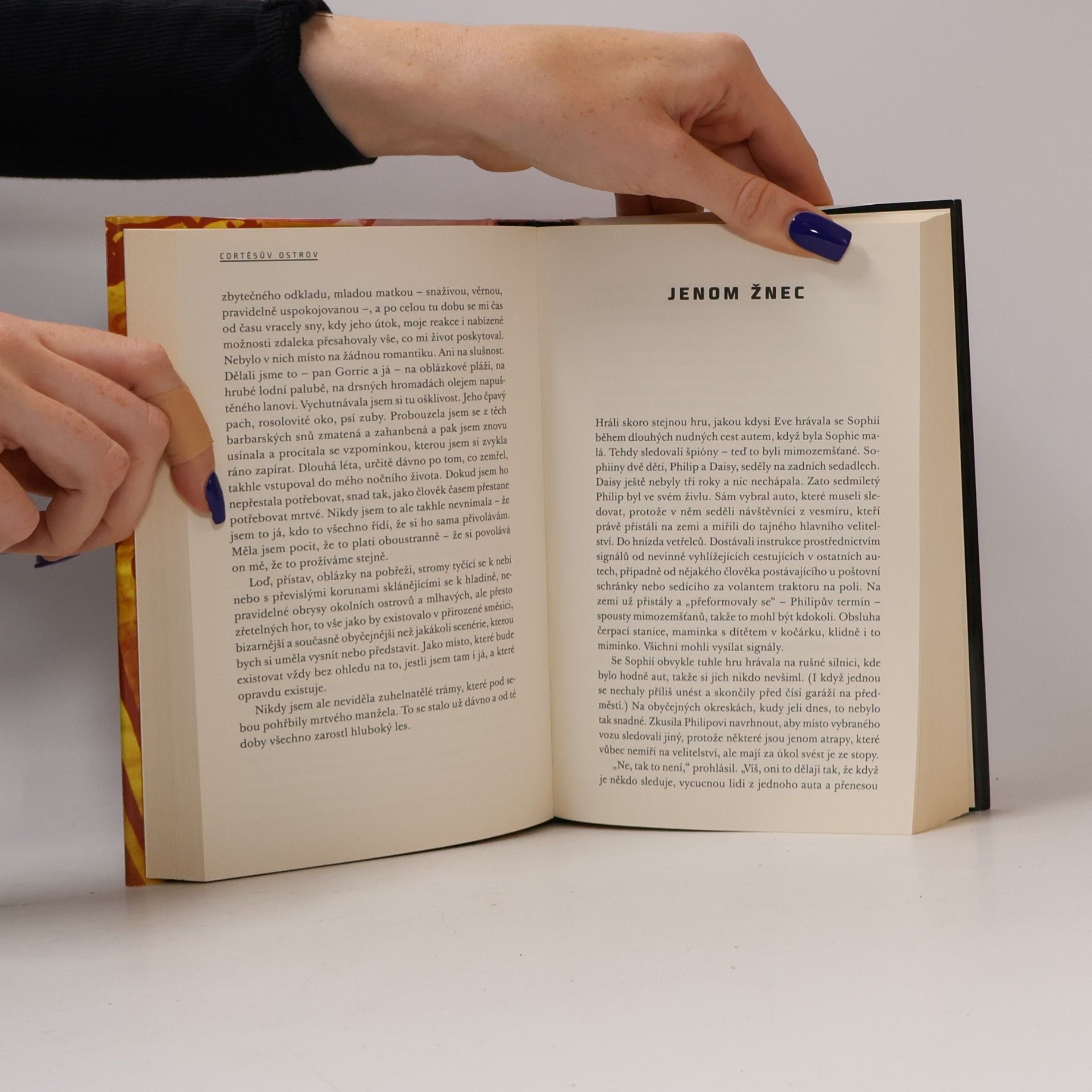 Alice Munro Láska dobré ženy