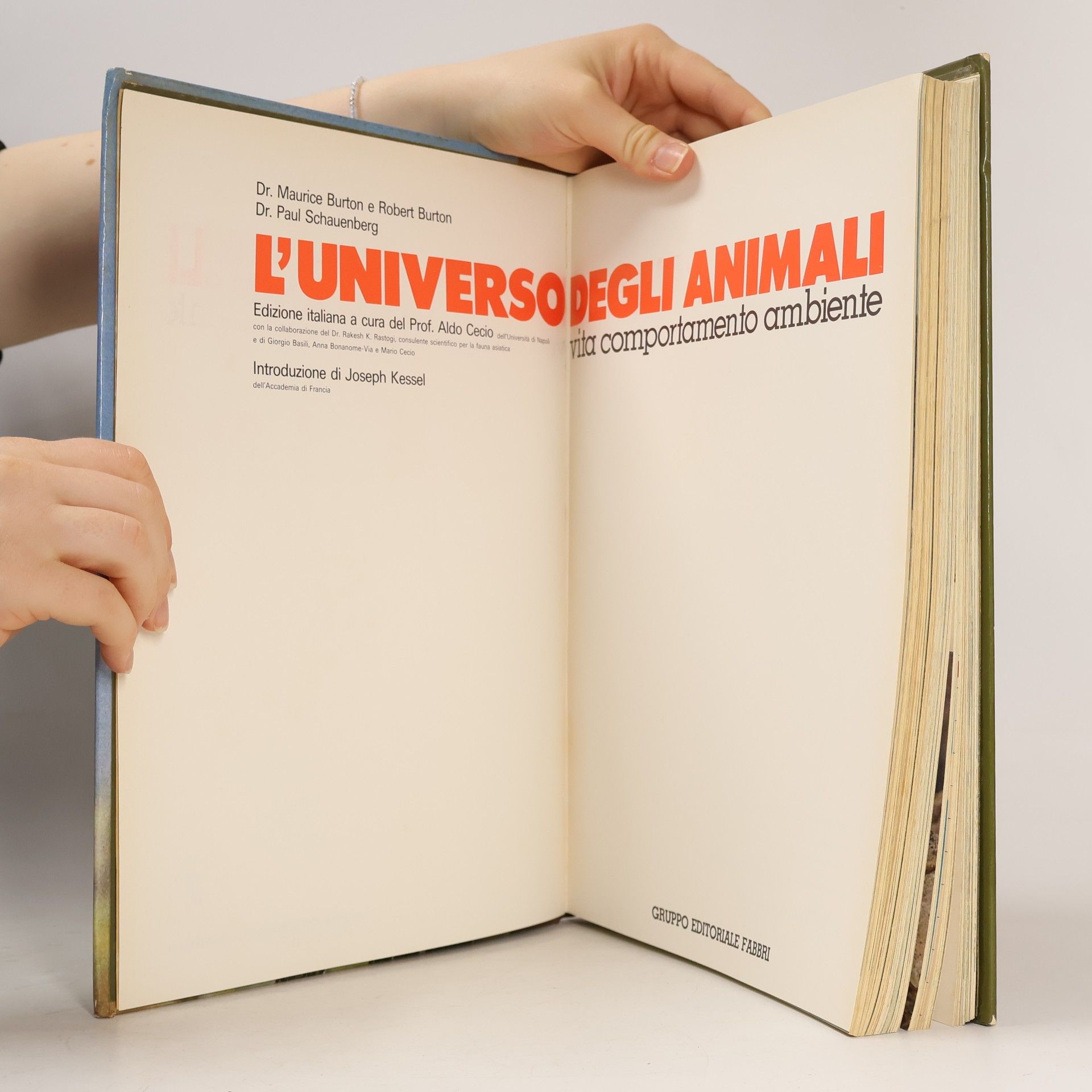 Various authors L'Universo degli Animali 2