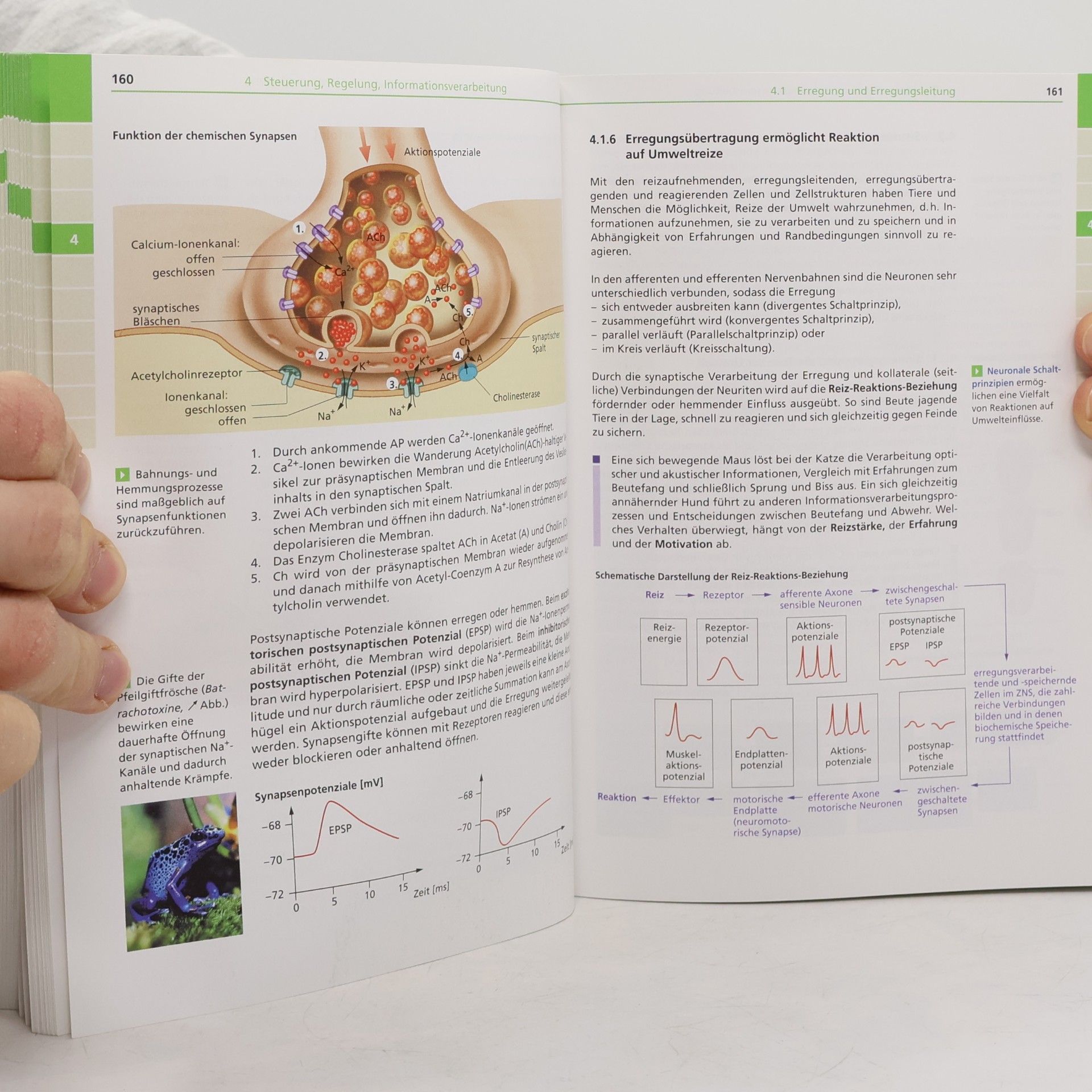 Karl Heinz Firtzlaff Abiturwissen Biologie