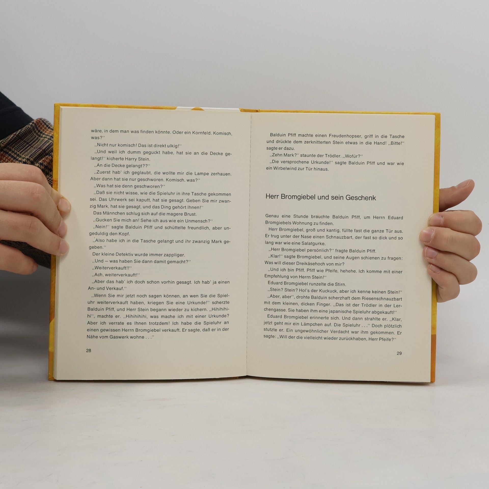 Wolfgang Ecke Das Geheimnis der Spieluhr